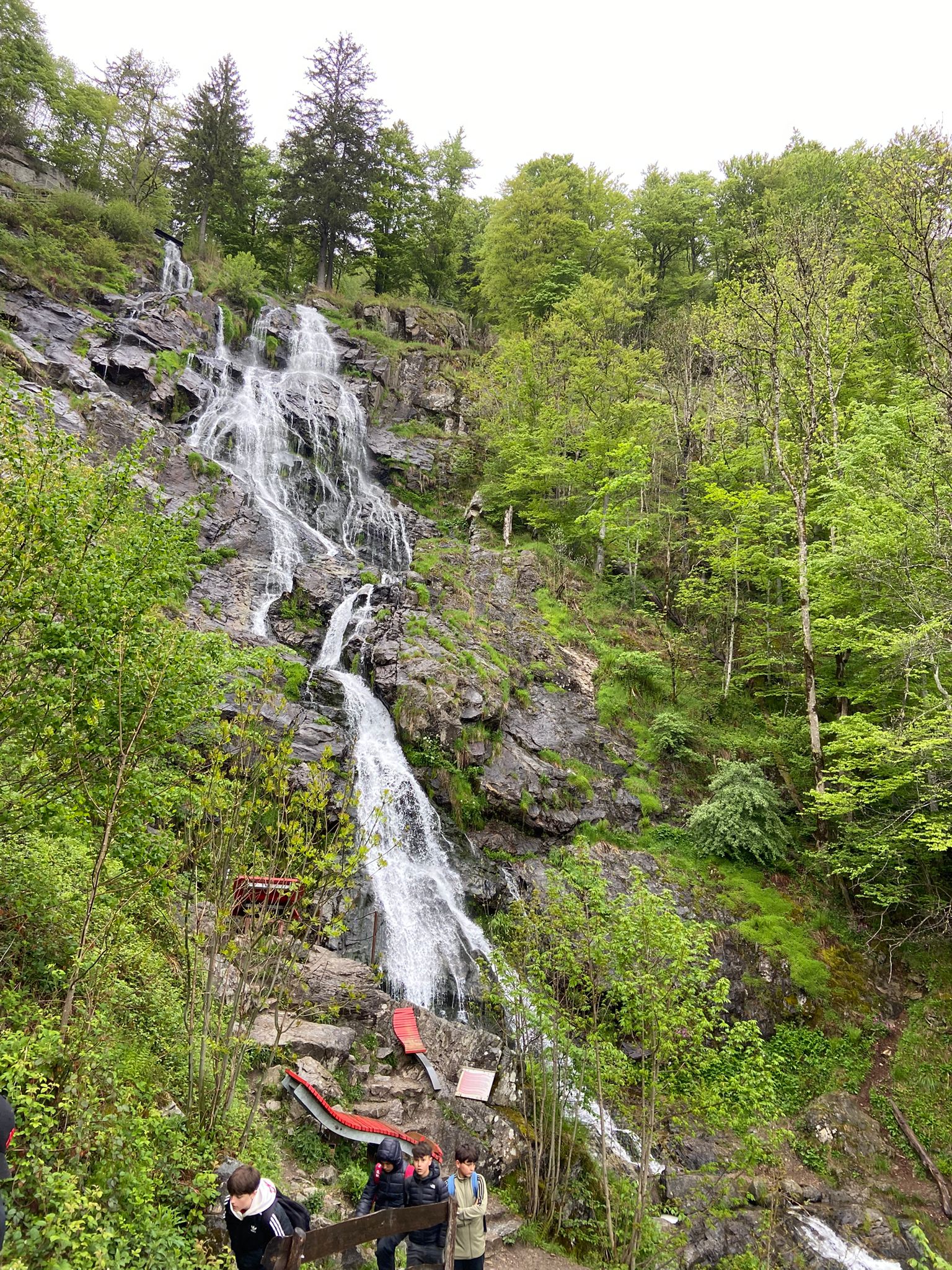 WhatsApp Image 2025-05-06 at 18.22.09 (1)