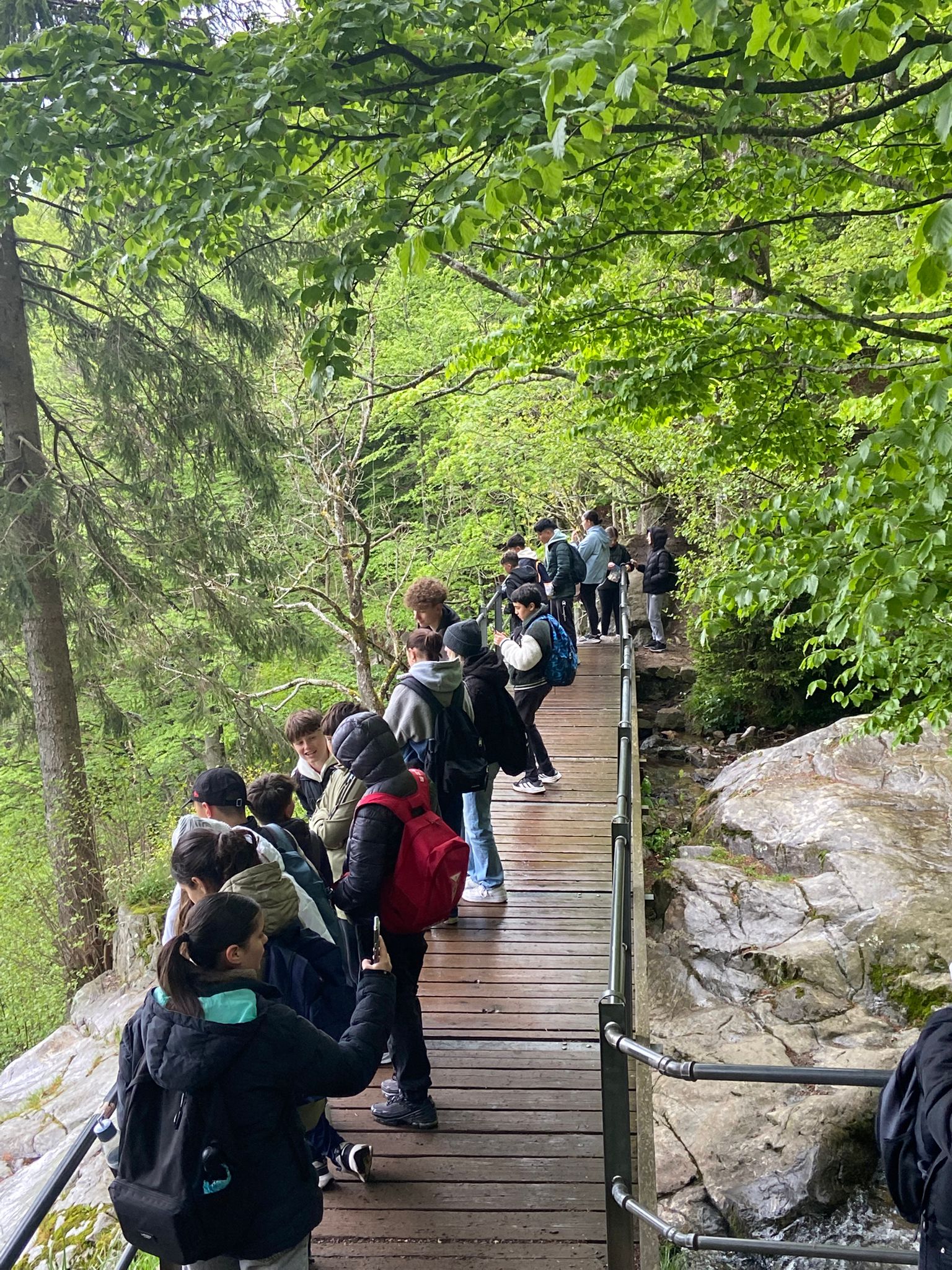 WhatsApp Image 2025-05-06 at 18.22.09