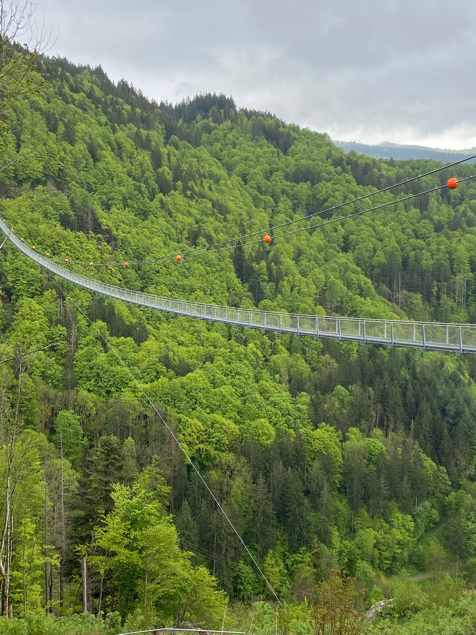 WhatsApp Image 2025-05-06 at 18.34.50