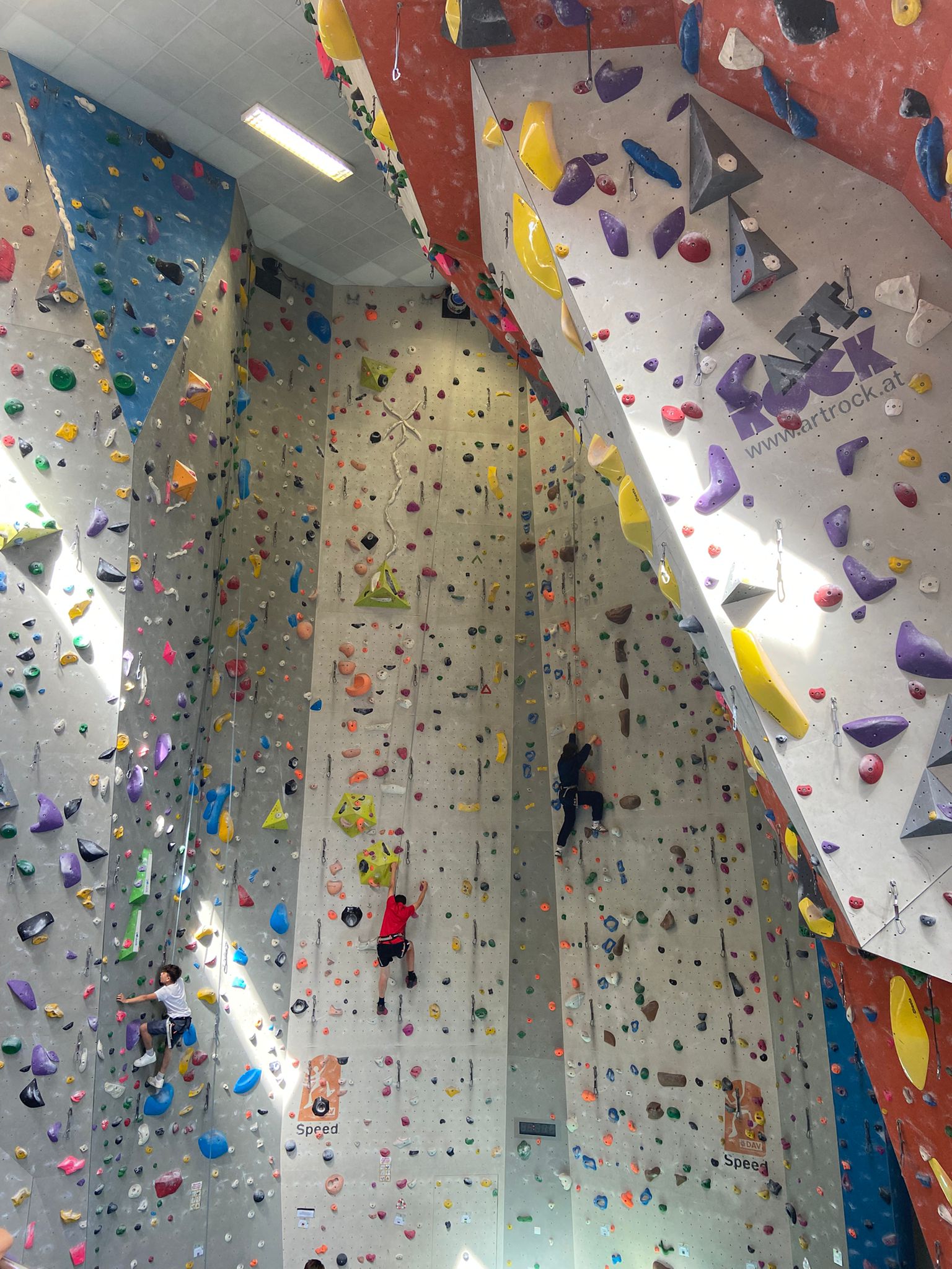 WhatsApp Image 2025-05-08 at 15.47.50