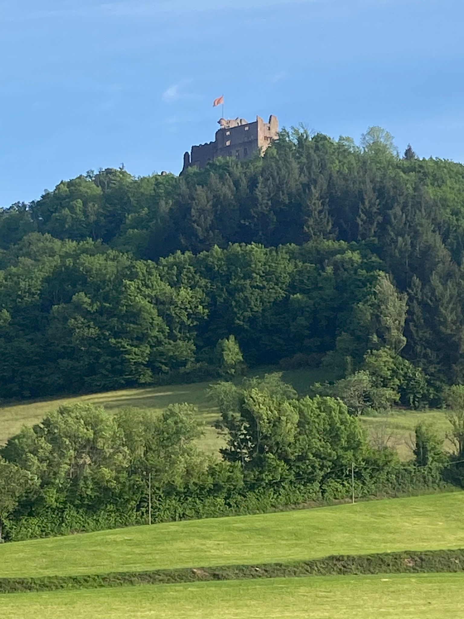 WhatsApp Image 2025-05-09 at 15.42.12