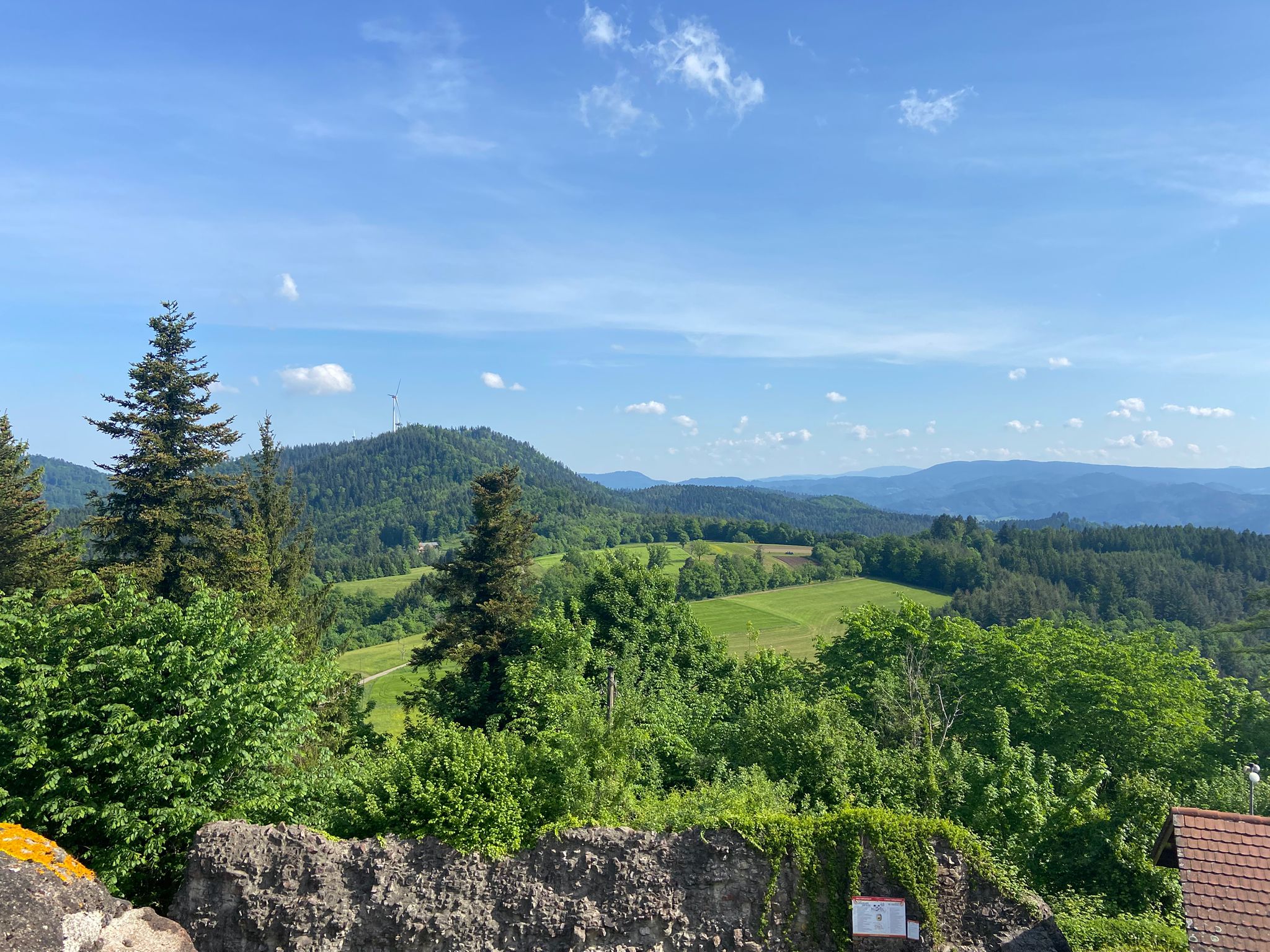 WhatsApp Image 2025-05-09 at 15.42.17 (1)