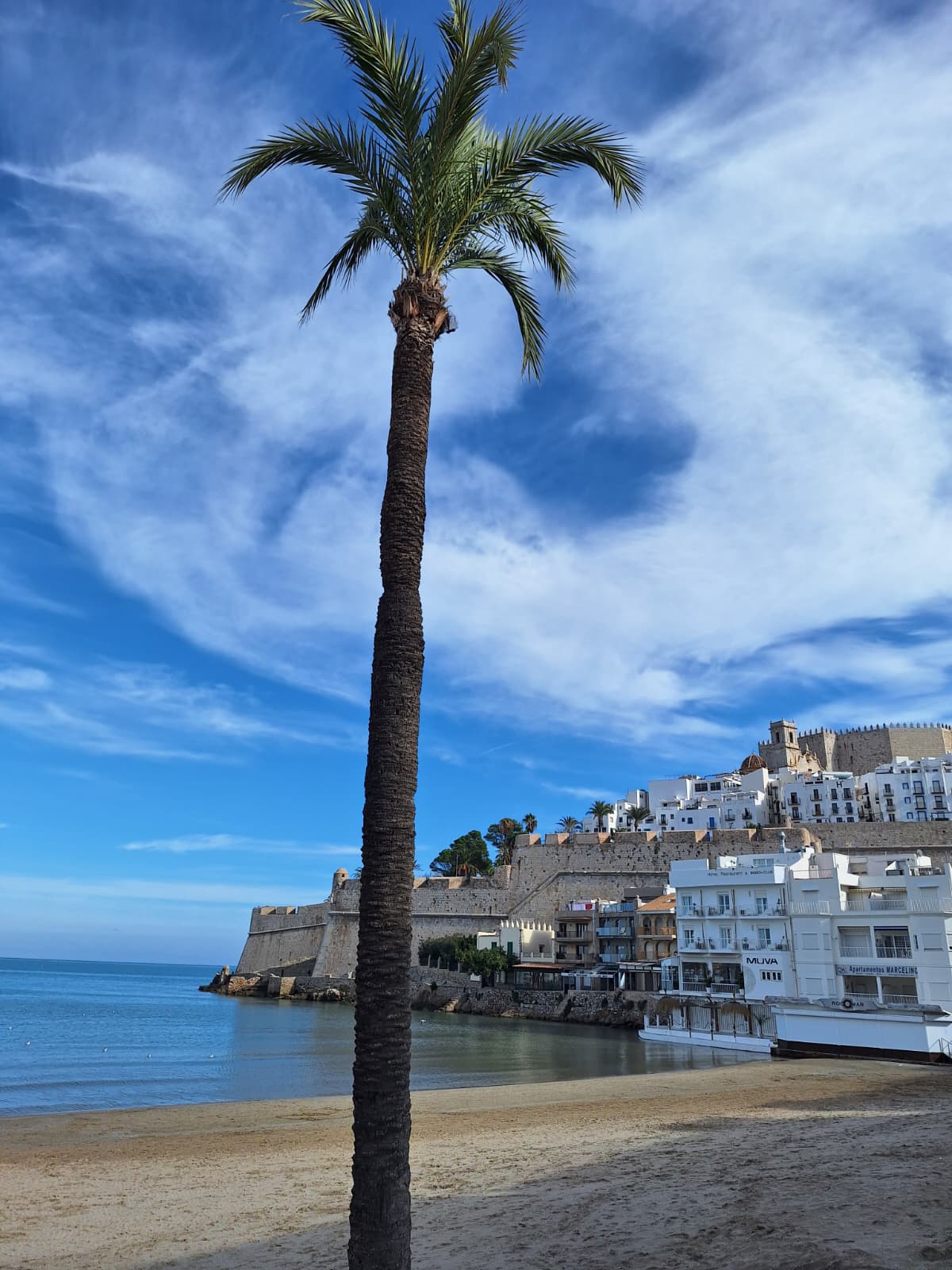 WhatsApp Image 2025-11-11 at 19.56.46