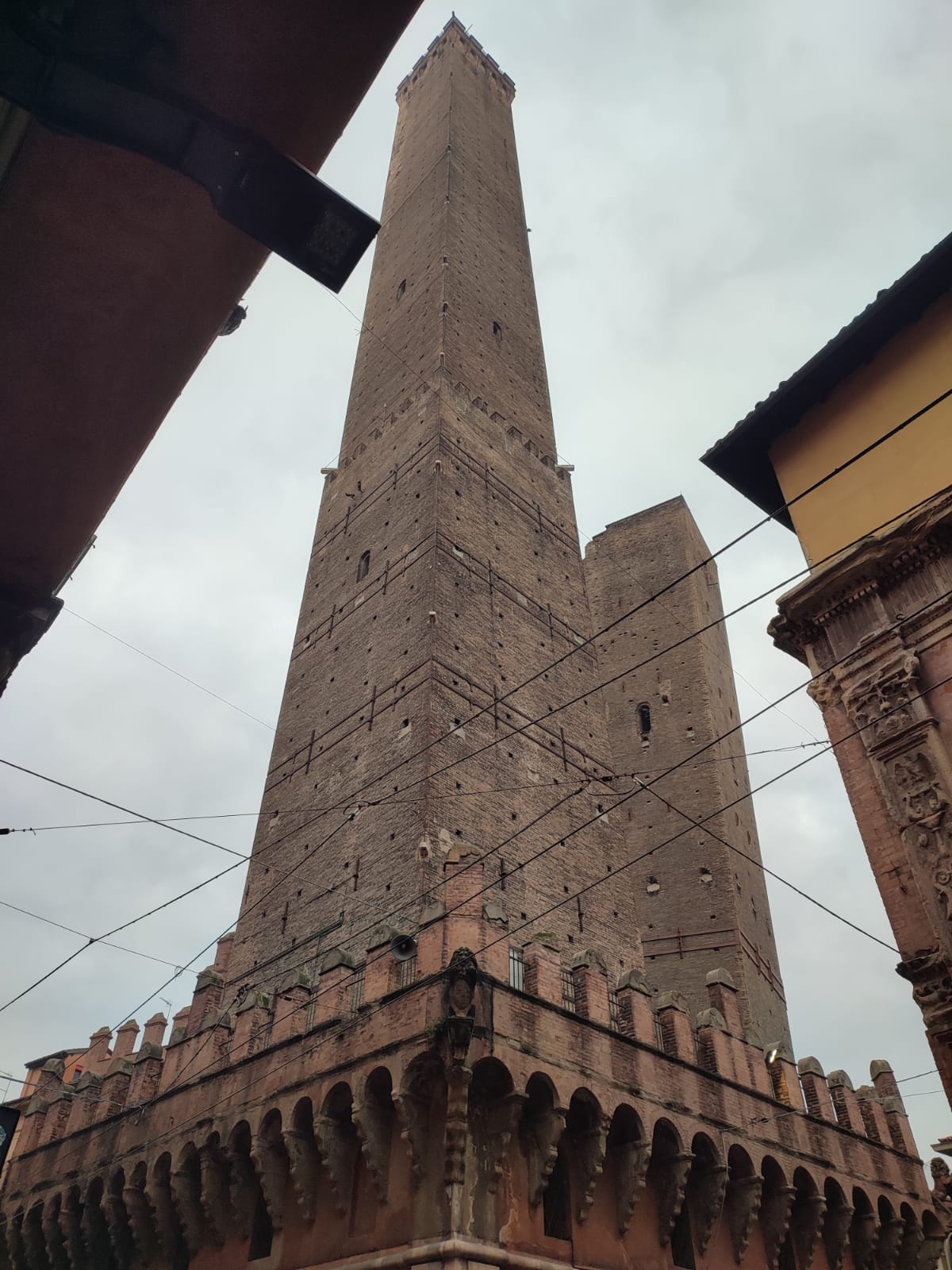 WhatsApp Image 2026-01-22 at 00.27.18 (10)