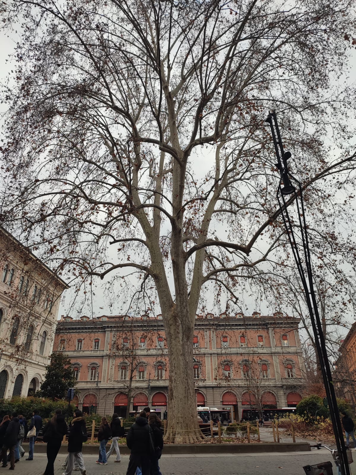 WhatsApp Image 2026-01-22 at 00.27.18 (12)