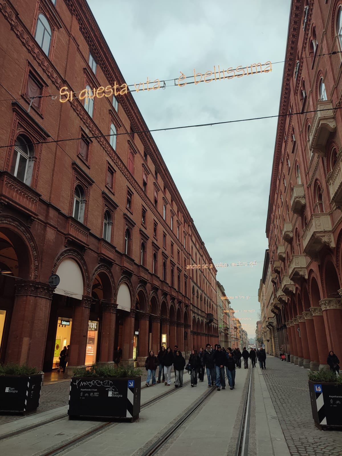 WhatsApp Image 2026-01-22 at 00.27.18 (4)