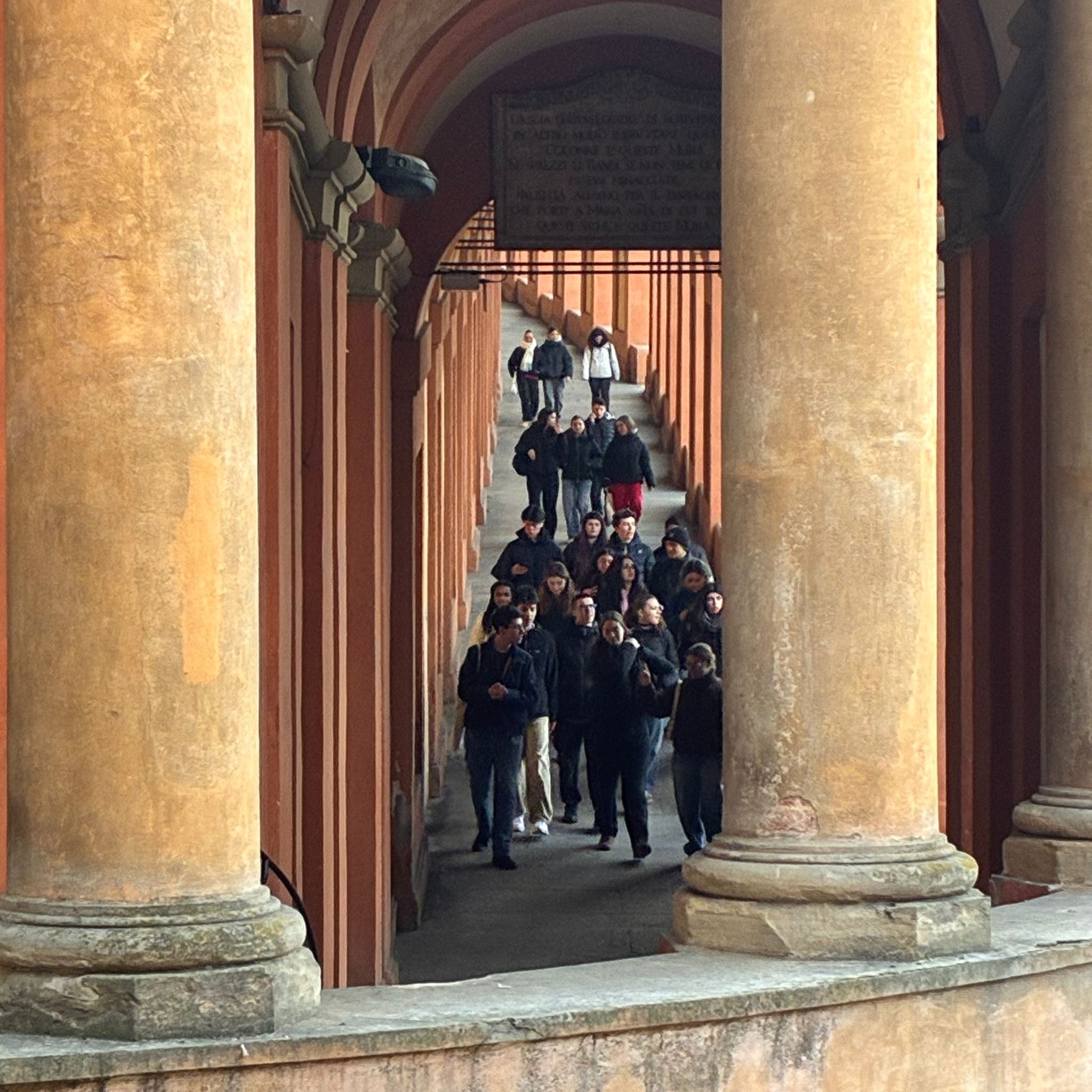 WhatsApp Image 2026-01-22 at 17.17.11 (3)