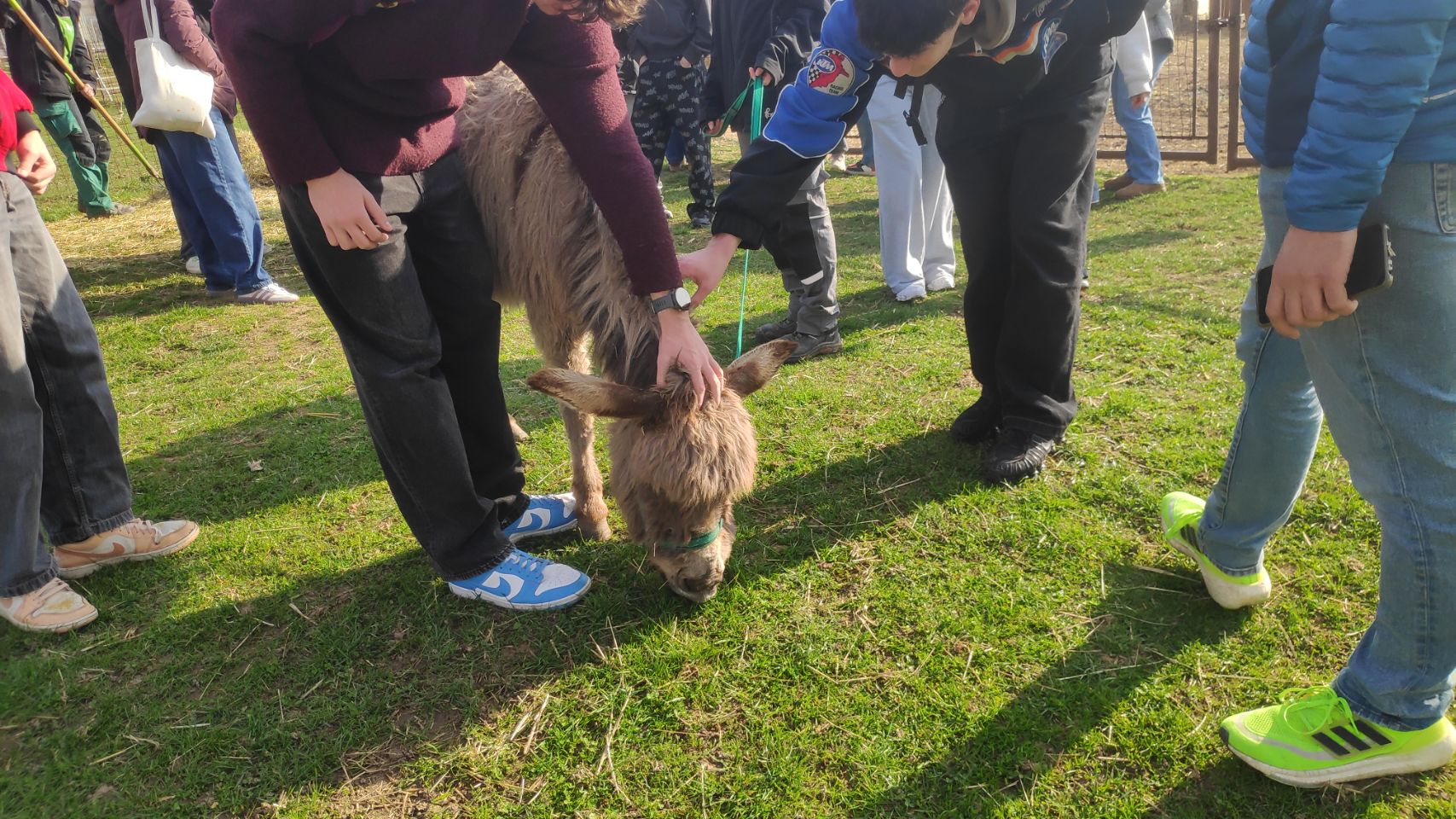 07ef80f0-777f-43bc-888b-25ca8b30ca28_b808c8dc-3fb3-4782-bfc0-271120976900