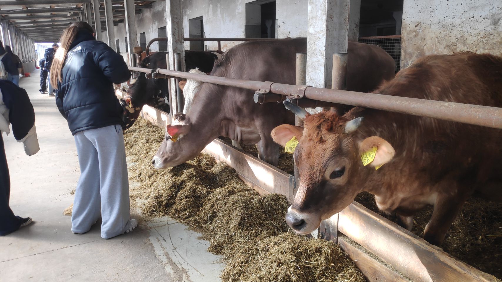 4929ef3a-309d-47f7-a3e8-6dff262606b5_e3abe4e2-6ca0-473d-81a8-da0f7c268e60