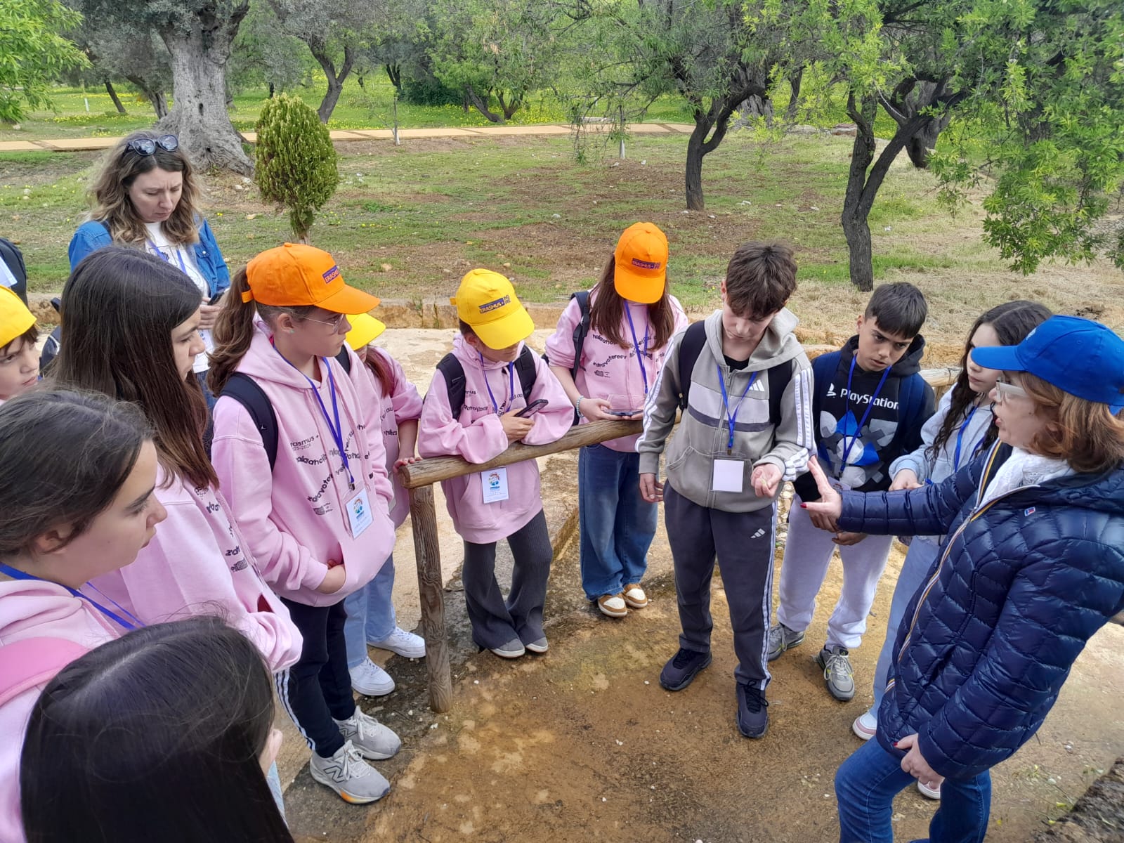 WhatsApp Image 2026-03-23 at 20.05.43 (1)