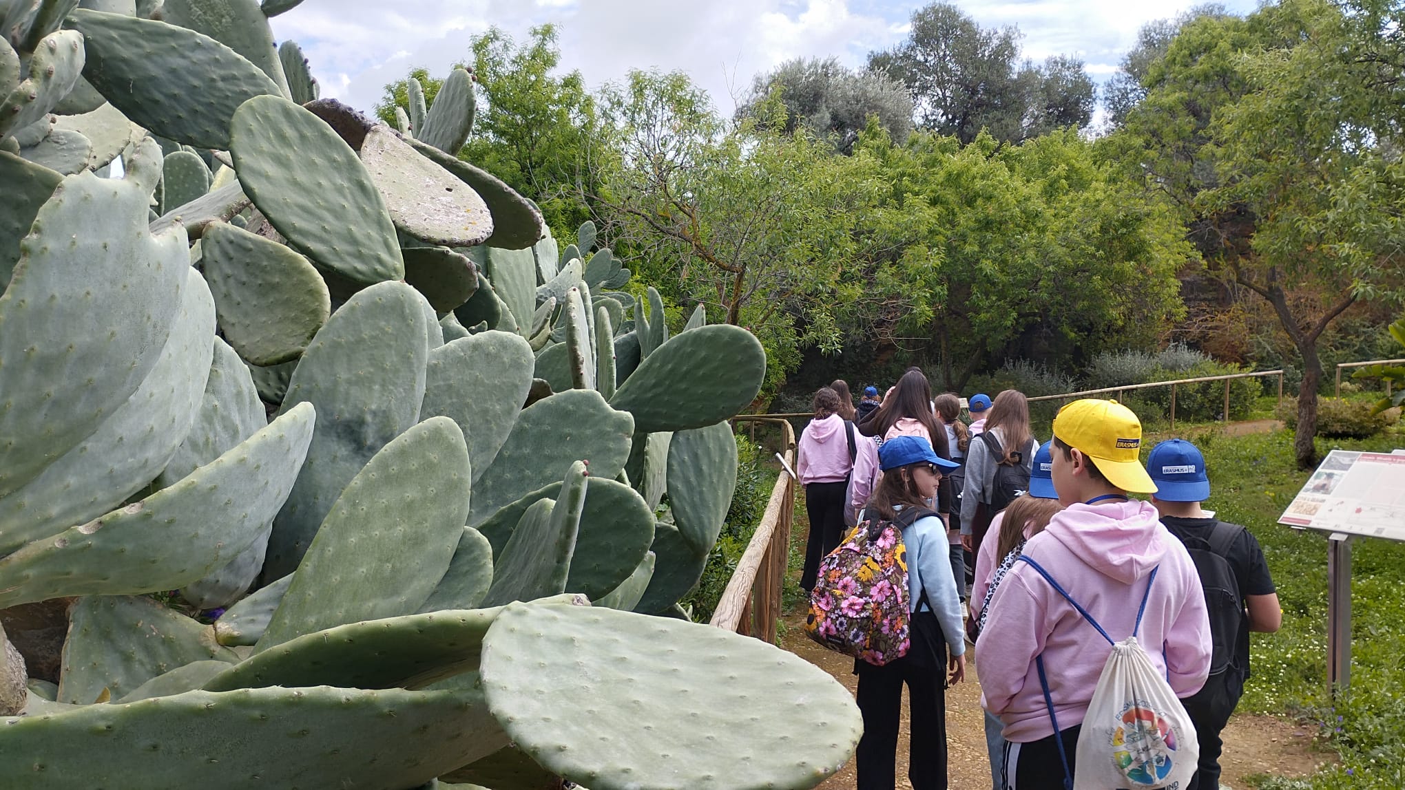 WhatsApp Image 2026-03-23 at 20.05.43 (3)