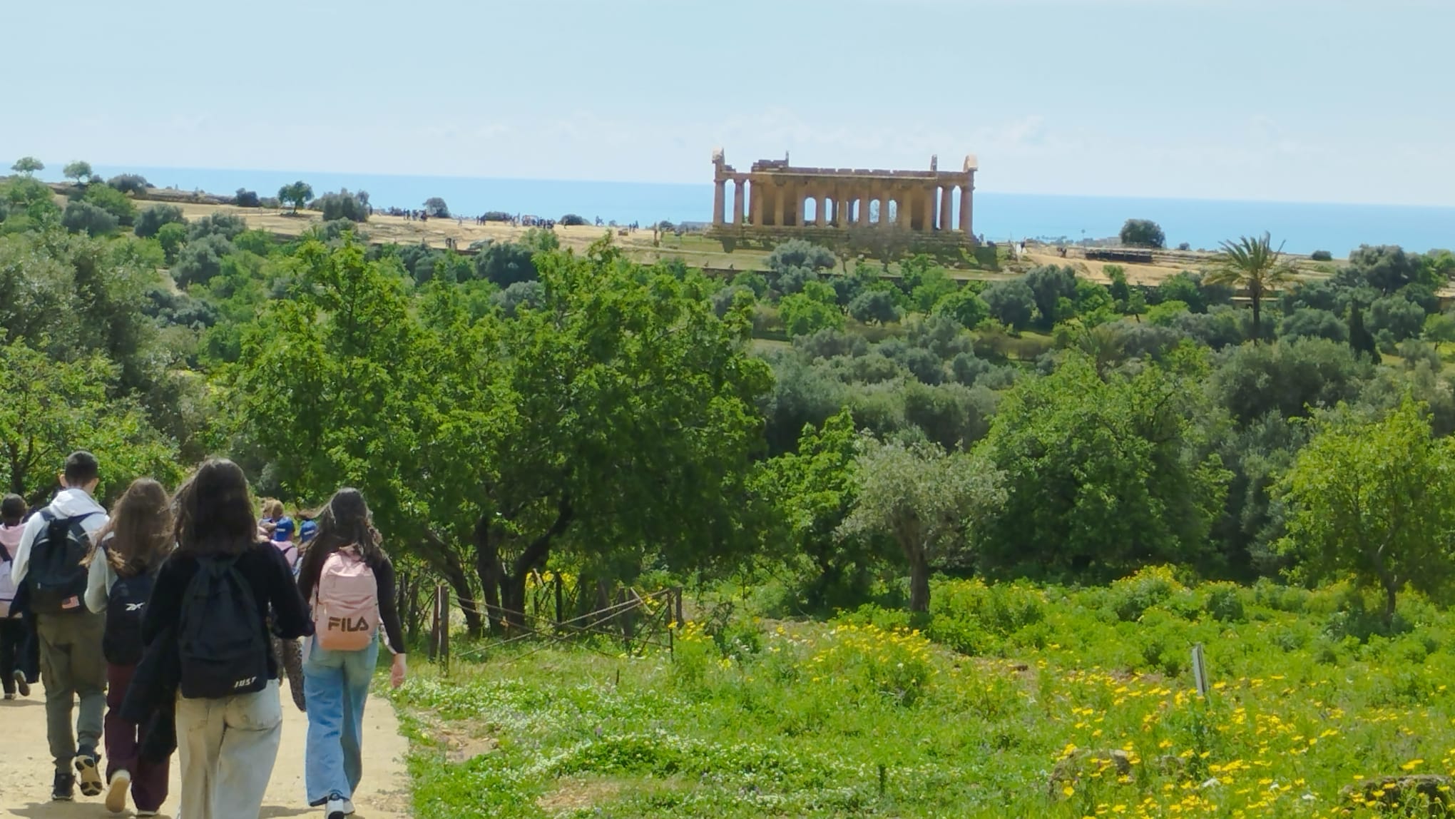 WhatsApp Image 2026-03-23 at 20.05.43 (6)