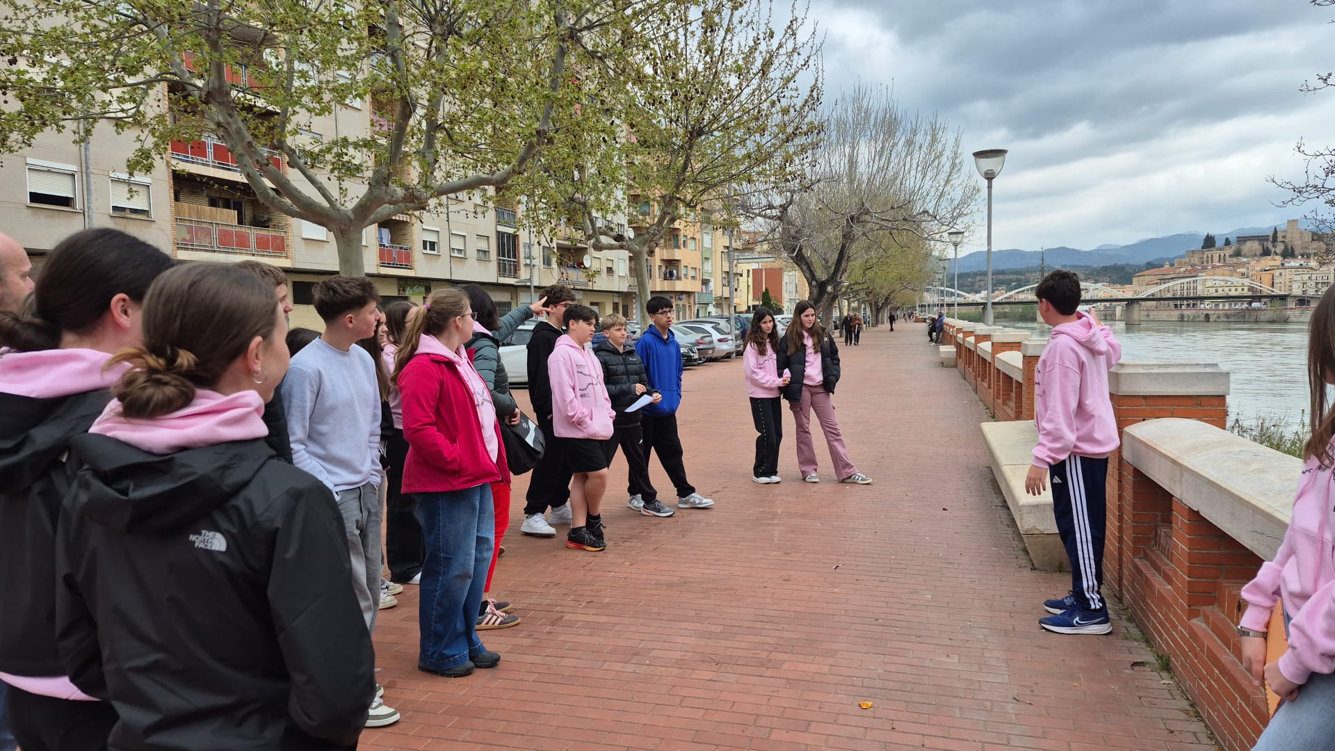 WhatsApp Image 2026-03-24 at 06.44.06 (3)