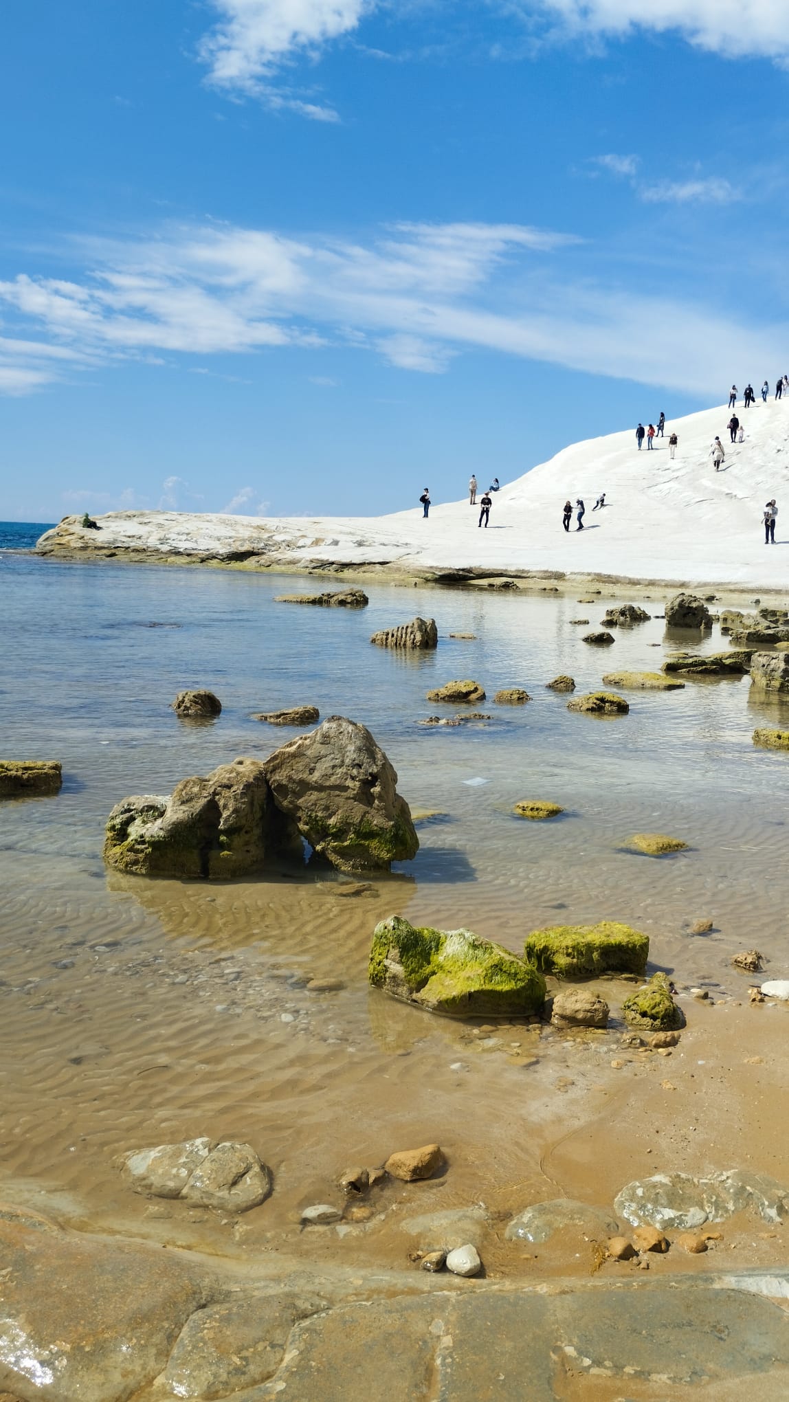 WhatsApp Image 2026-03-24 at 18.11.51