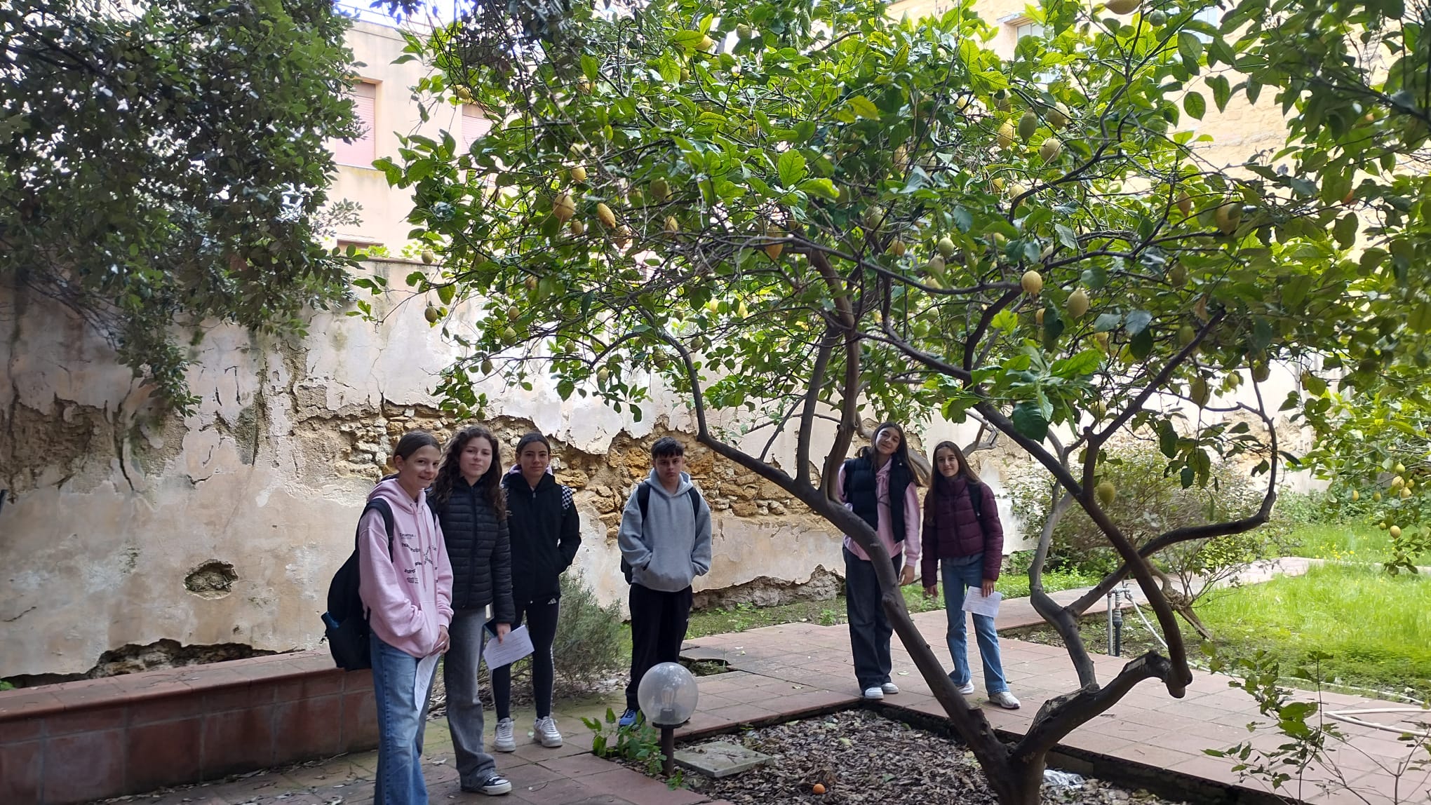 WhatsApp Image 2026-03-27 at 07.13.46 (2)