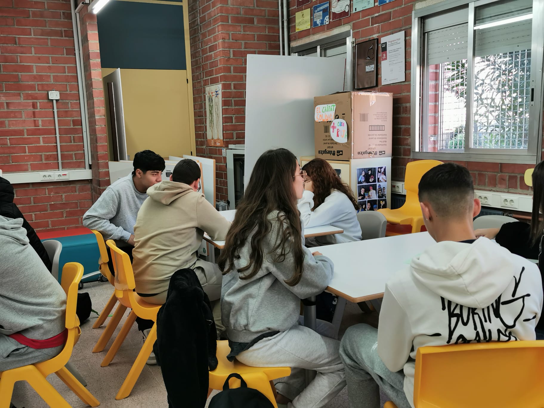 WhatsApp Image 2024-11-13 at 18.15.50