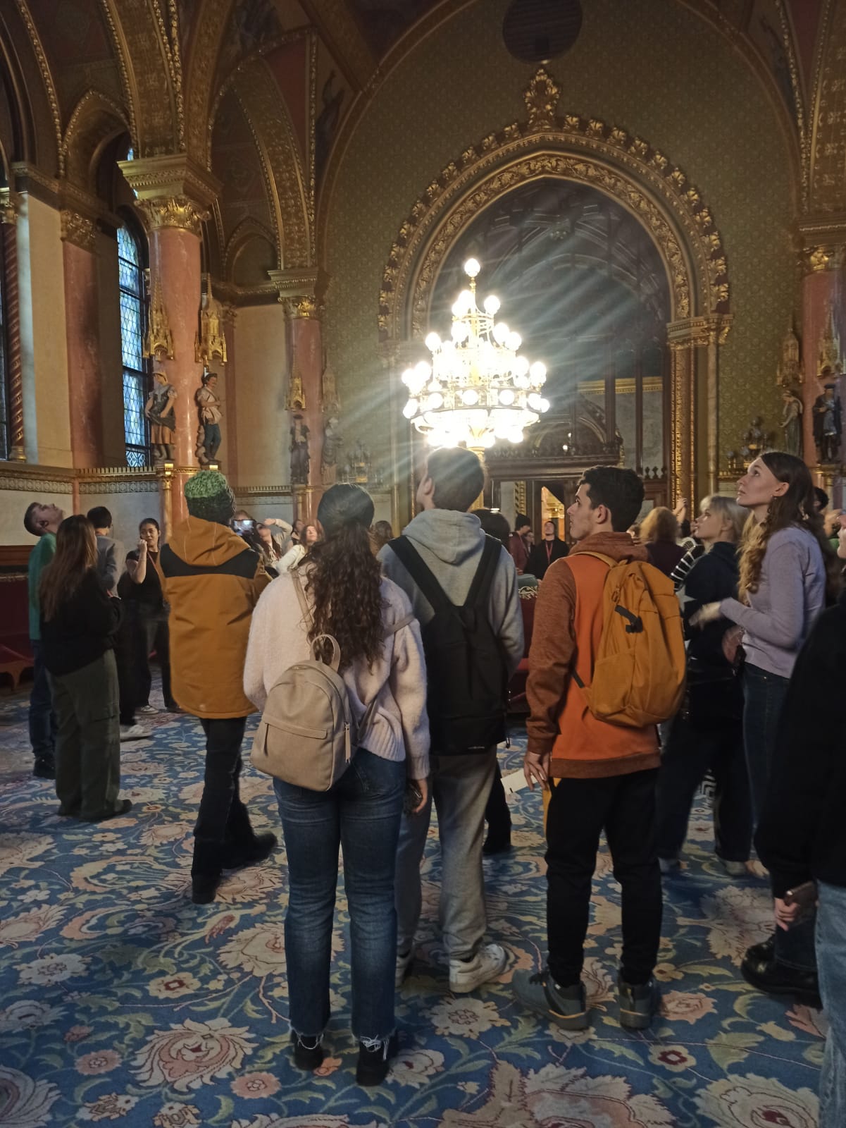 WhatsApp Image 2024-12-13 at 22.24.44