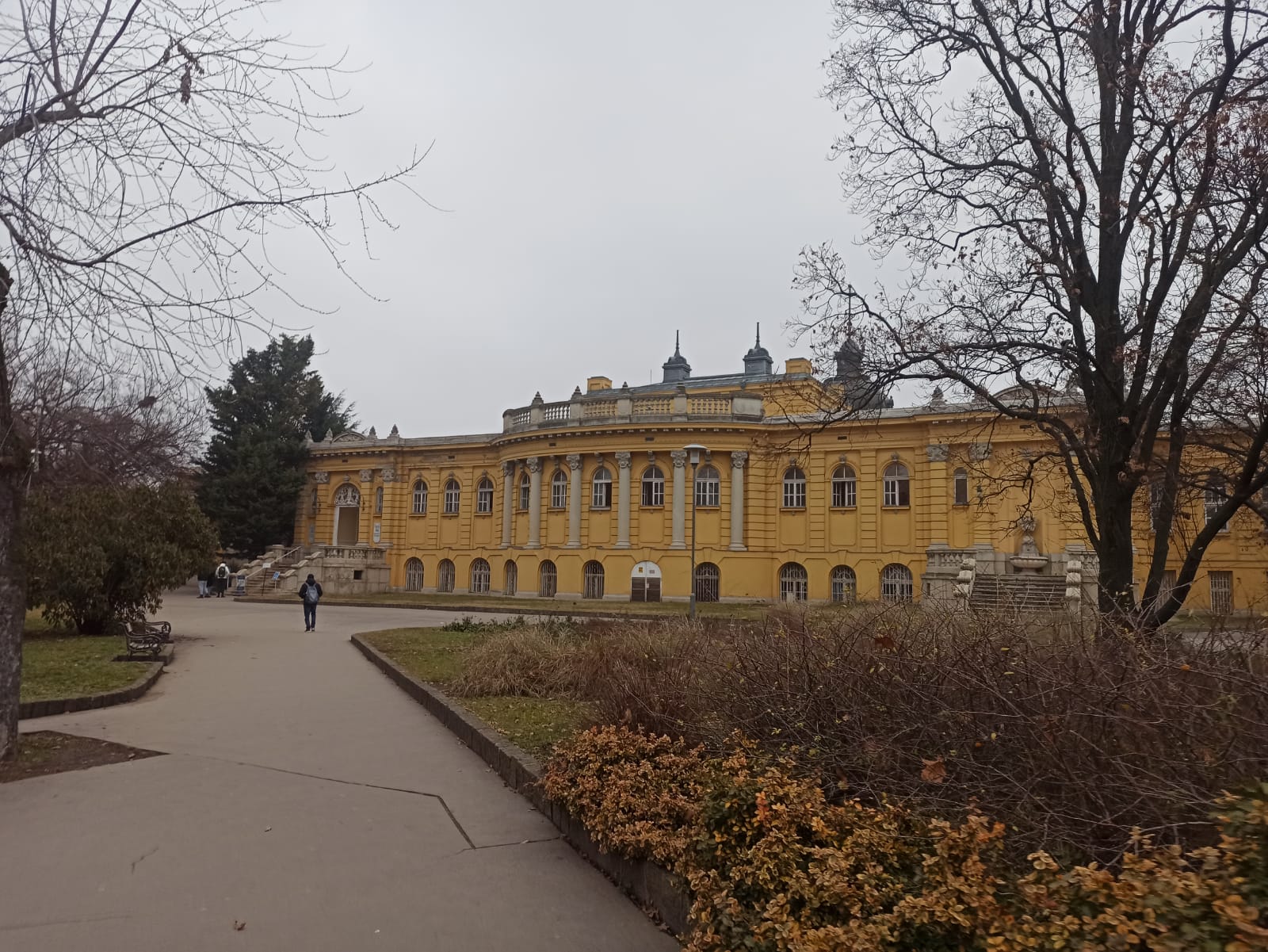 WhatsApp Image 2024-12-14 at 15.49.17