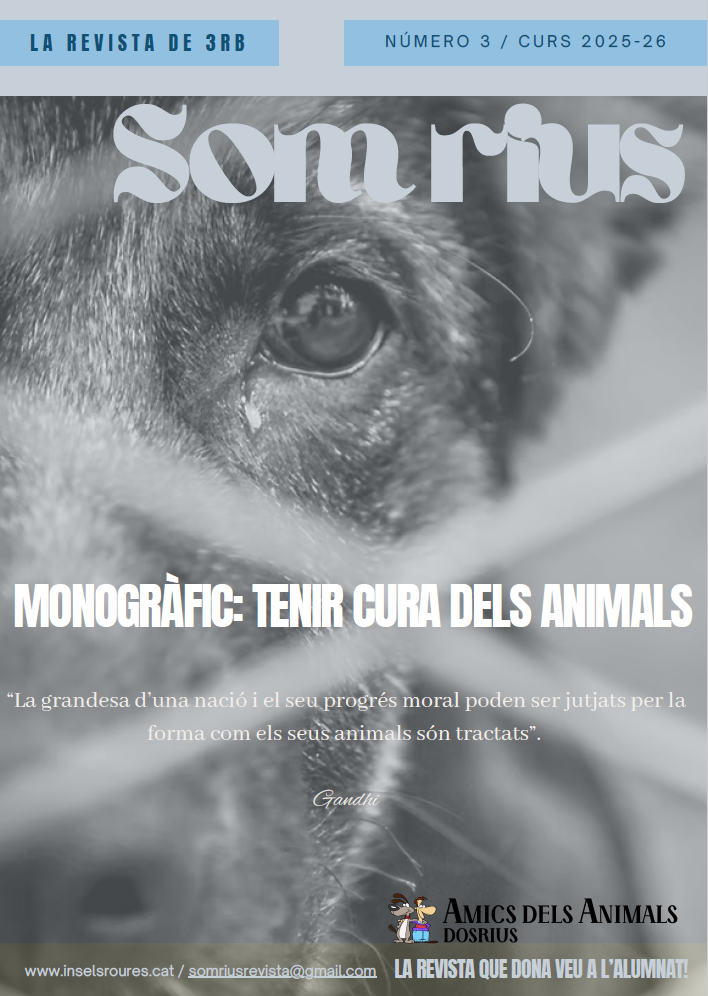 Revista Número 3