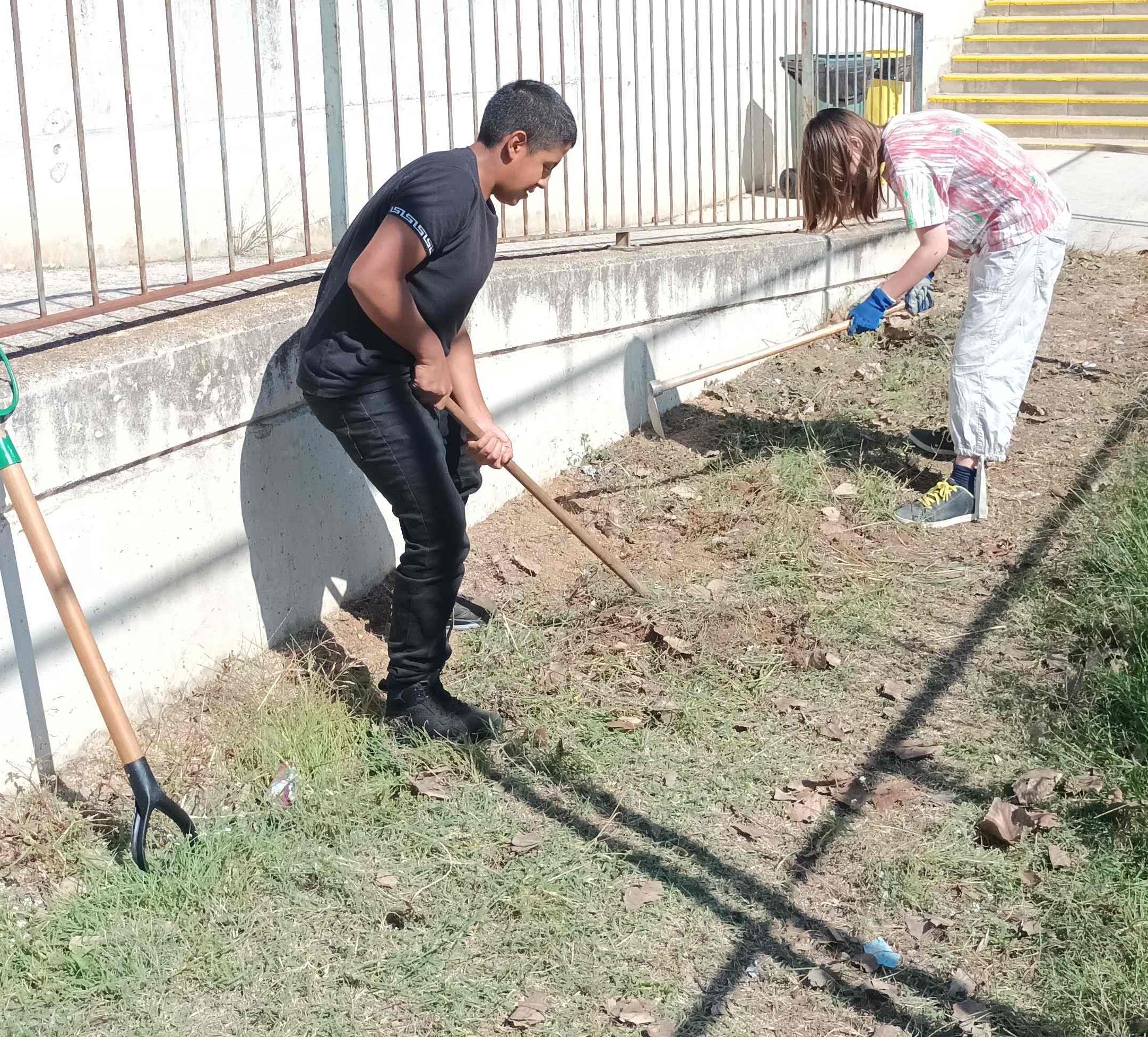 Neteja herba 20240930