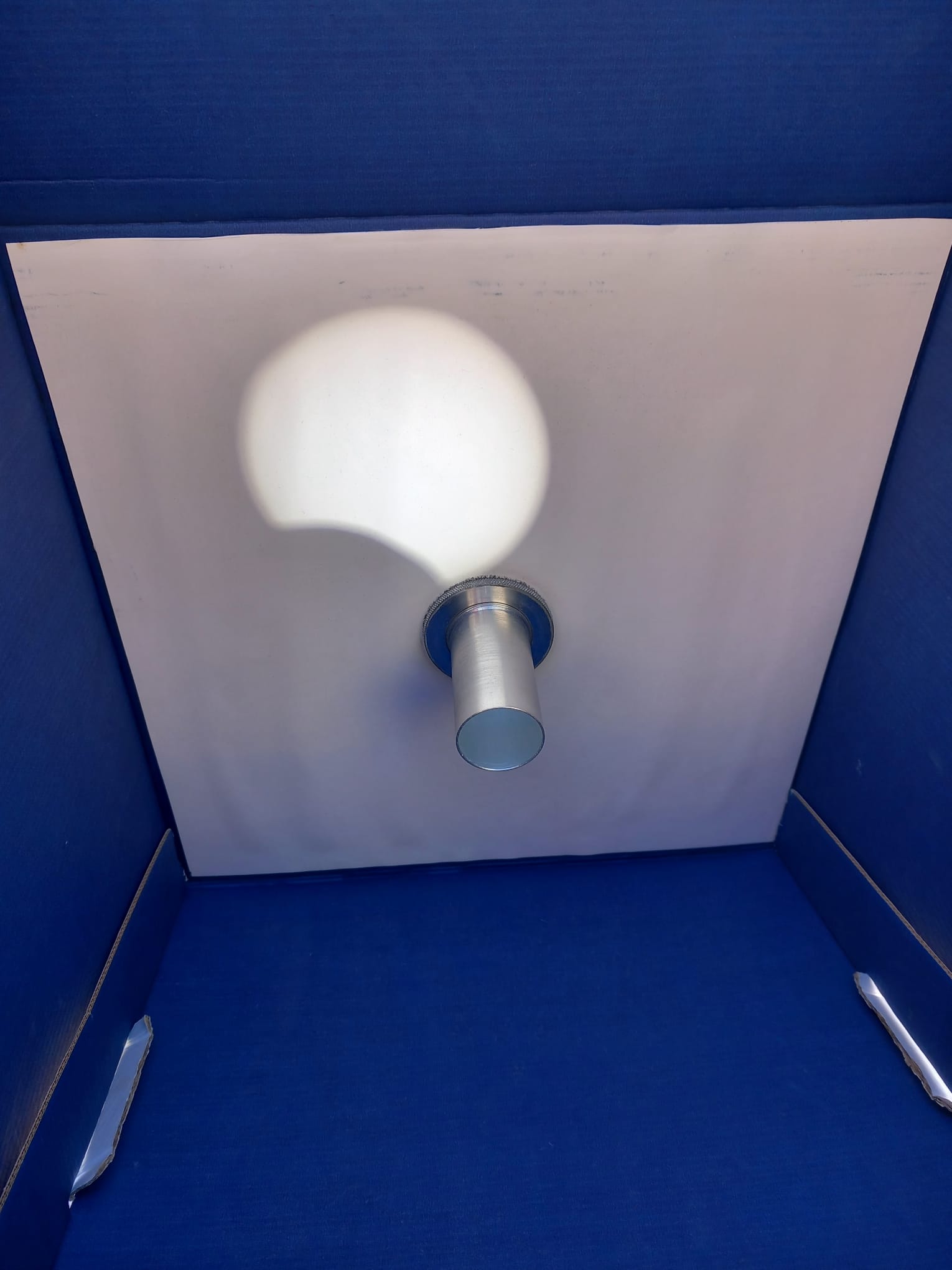 WhatsApp Image 2025-03-29 at 13.35.31