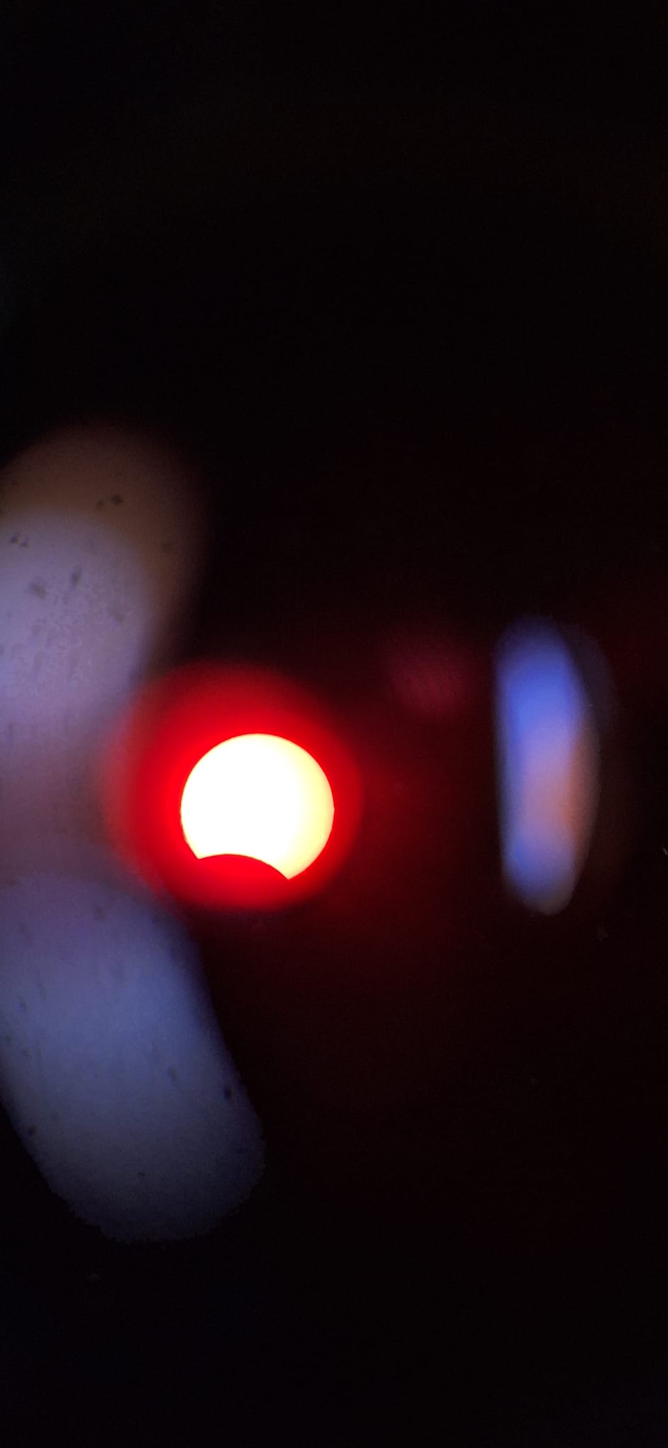 WhatsApp Image 2025-03-29 at 13.36.49