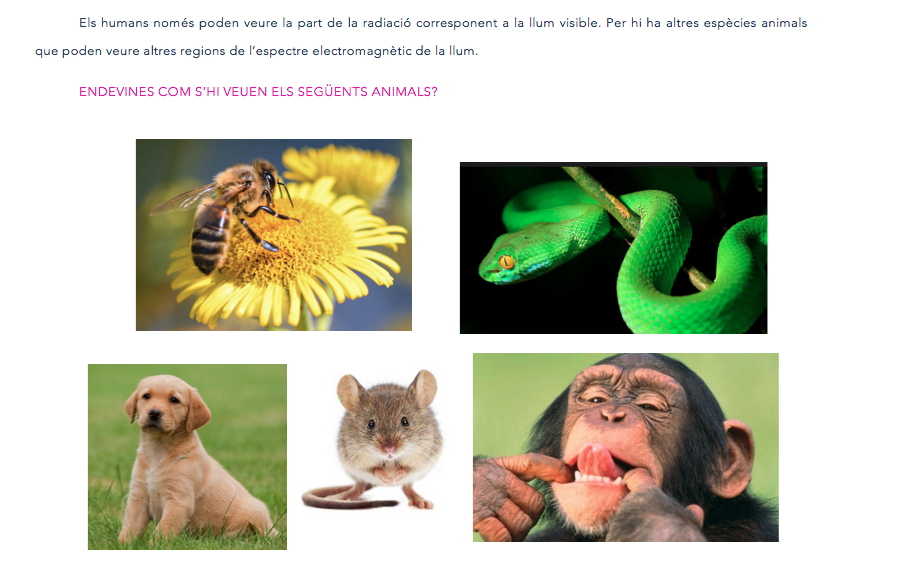 Captura de pantalla 2018-04-25 a las 17.05.01