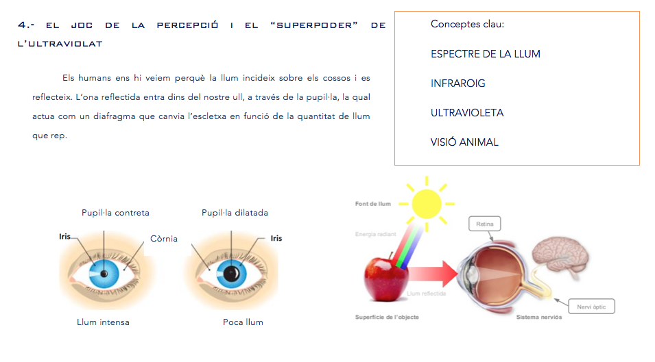 Captura de pantalla 2018-04-25 a las 17.05.13