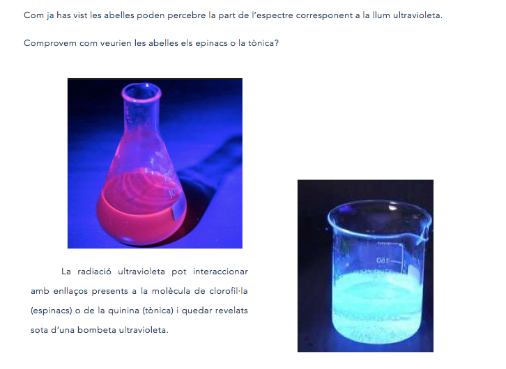 Captura de pantalla 2018-04-25 a las 17.05.24