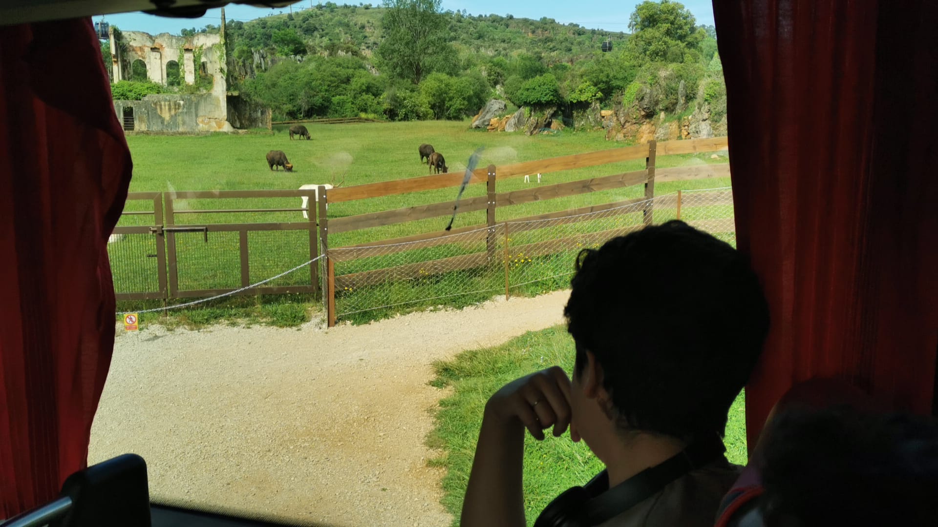 WhatsApp Image 2024-05-29 at 10.27.07