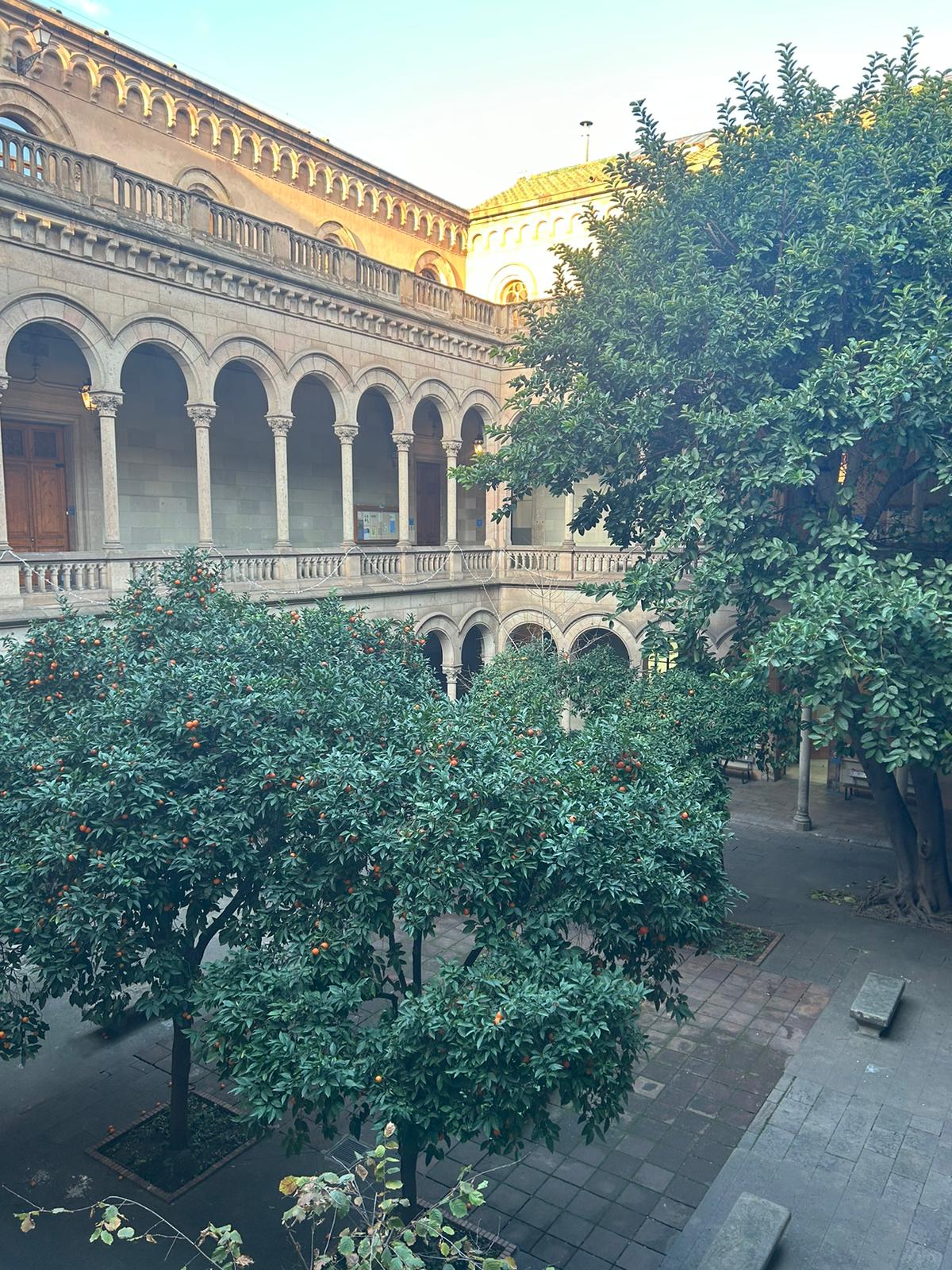 WhatsApp Image 2025-01-21 at 2.15.20 PM