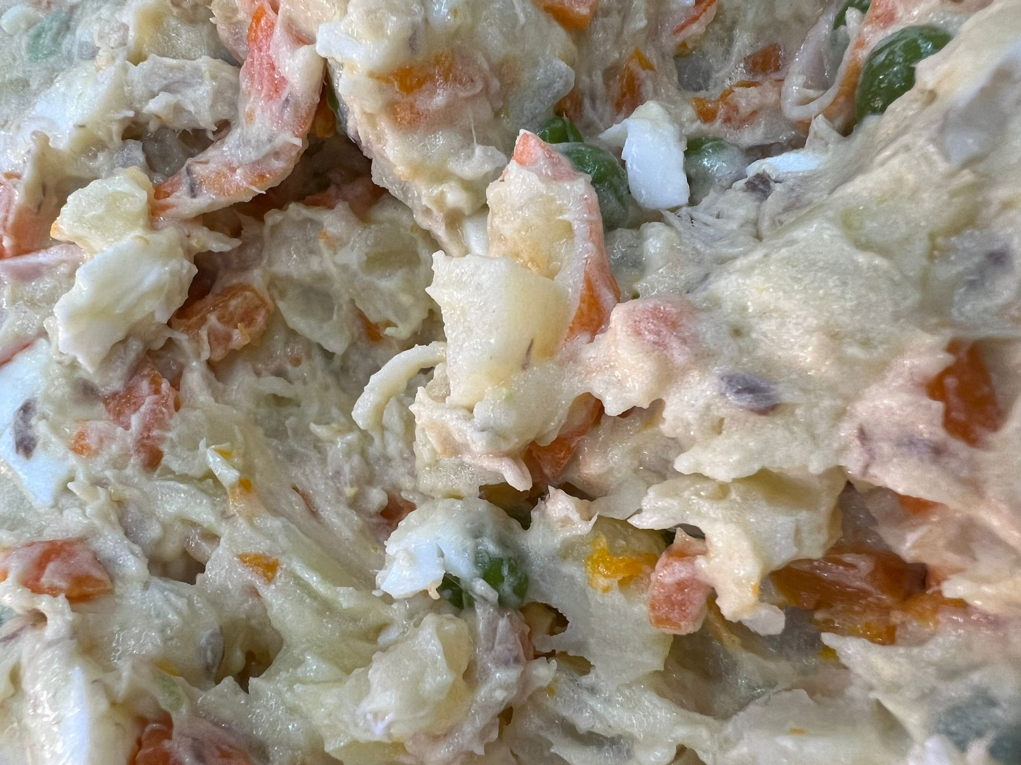 WhatsApp Image 2025-11-01 at 12.17.29 (1)