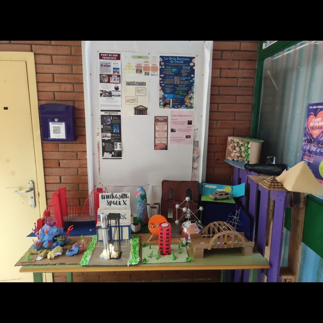 Polish_20251117_194517374