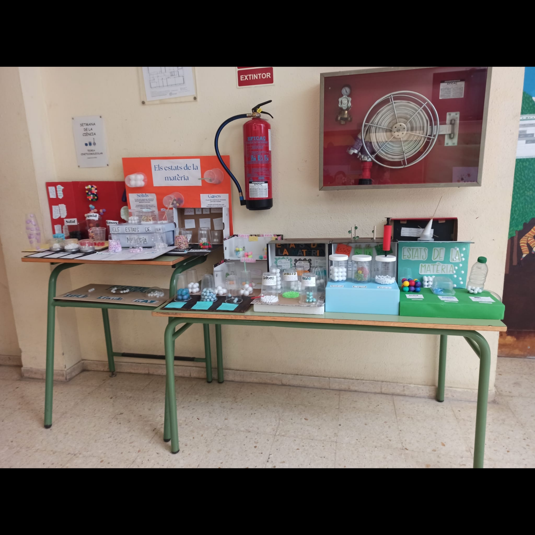 Polish_20251120_073856806