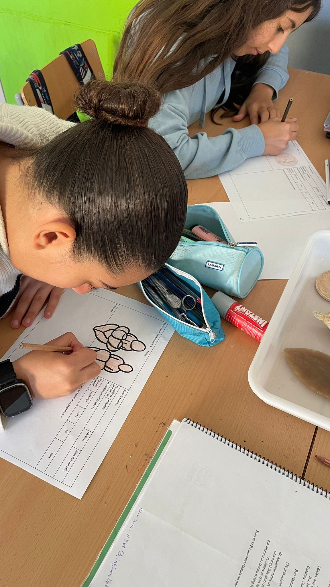 WhatsApp Image 2025-11-14 at 08.25.00 (1)