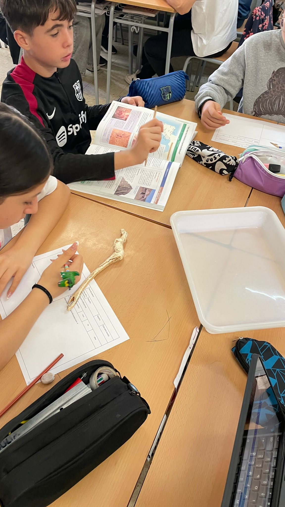 WhatsApp Image 2025-11-14 at 08.25.01 (3)