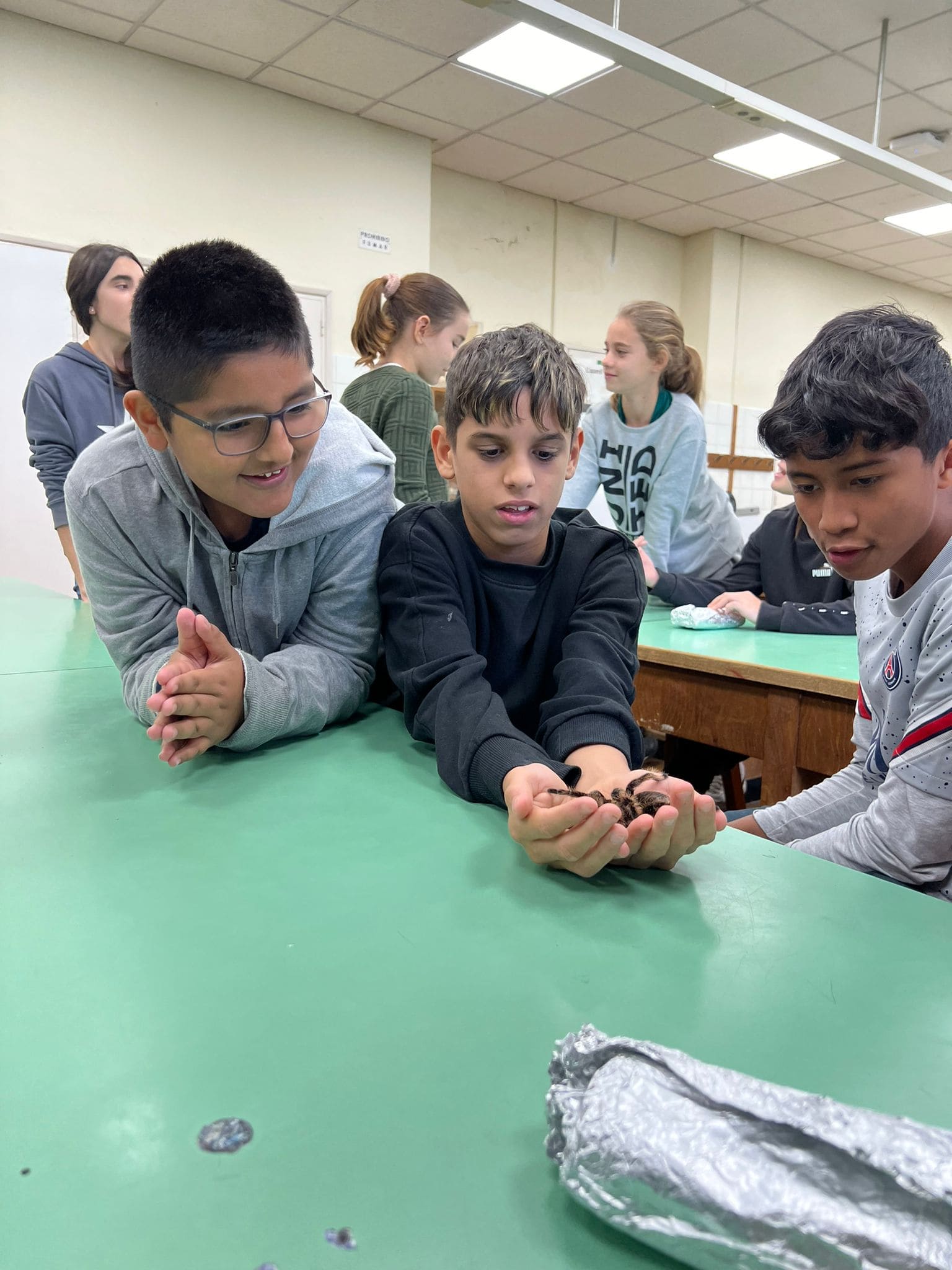 WhatsApp Image 2024-11-21 at 17.11.28