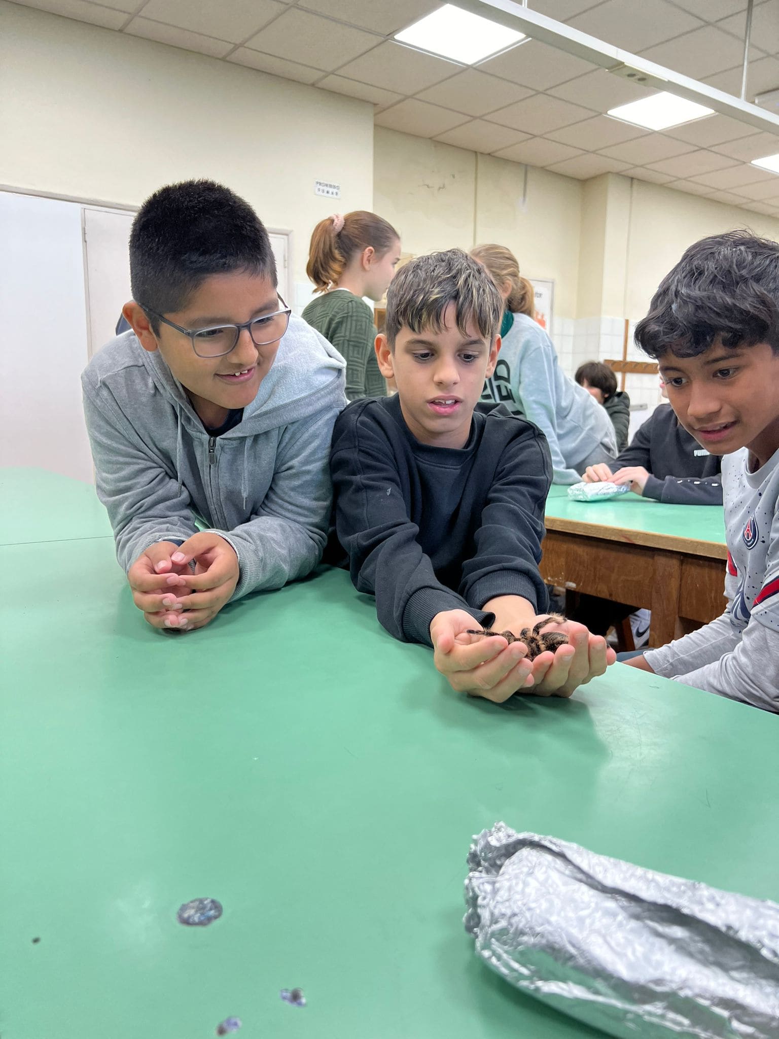 WhatsApp Image 2024-11-21 at 17.11.29