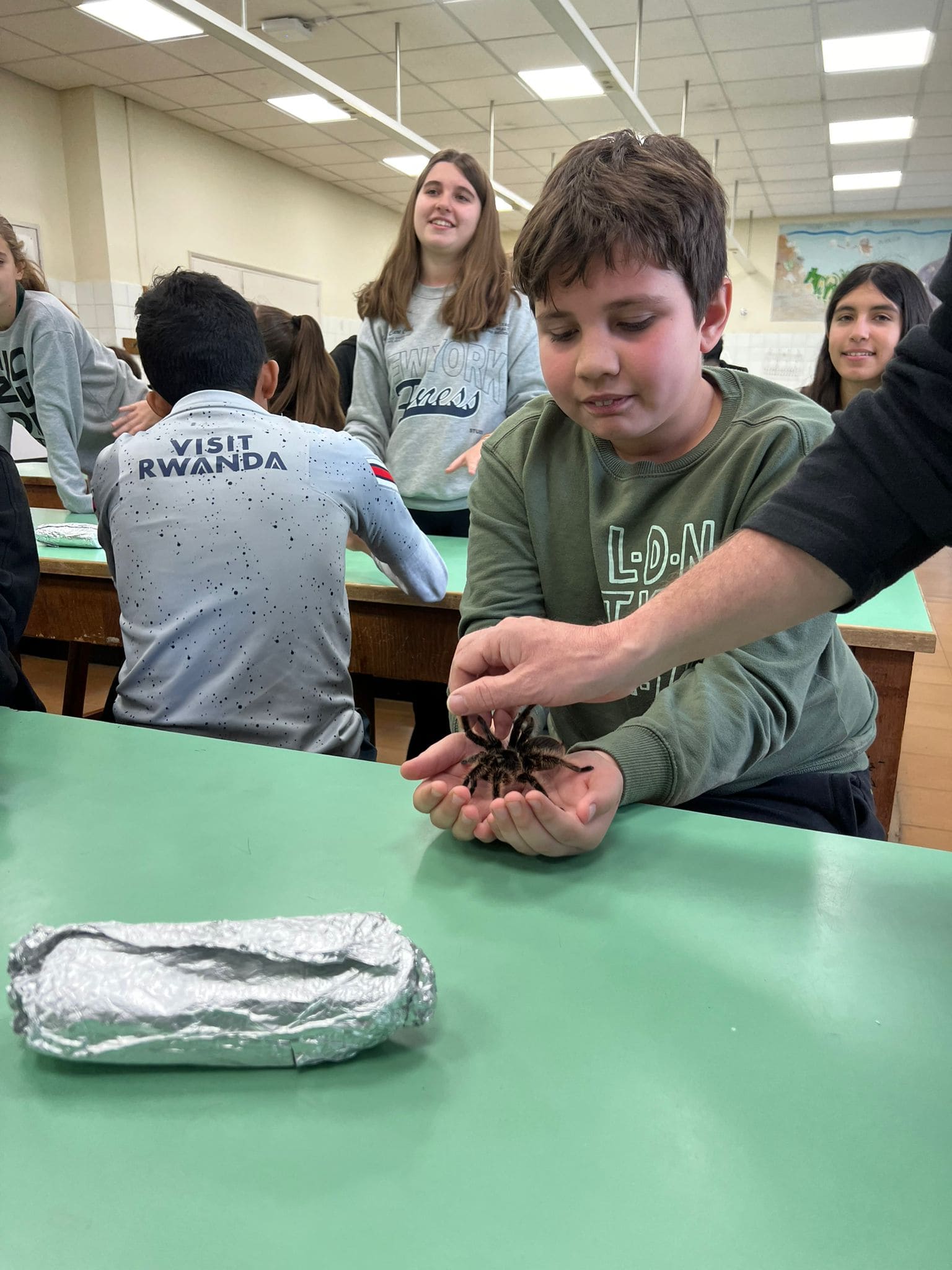 WhatsApp Image 2024-11-21 at 17.11.30