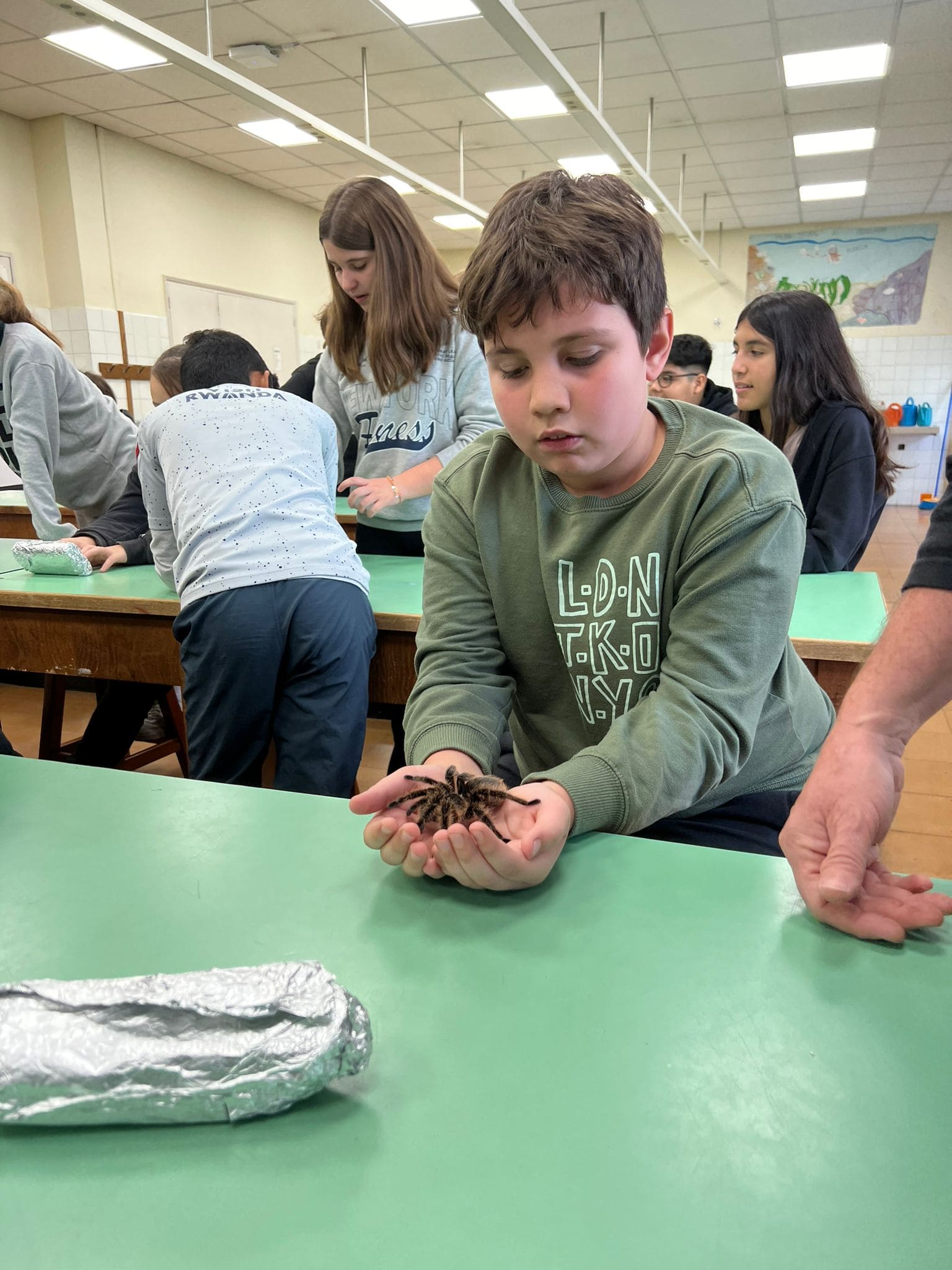 WhatsApp Image 2024-11-21 at 17.11.35