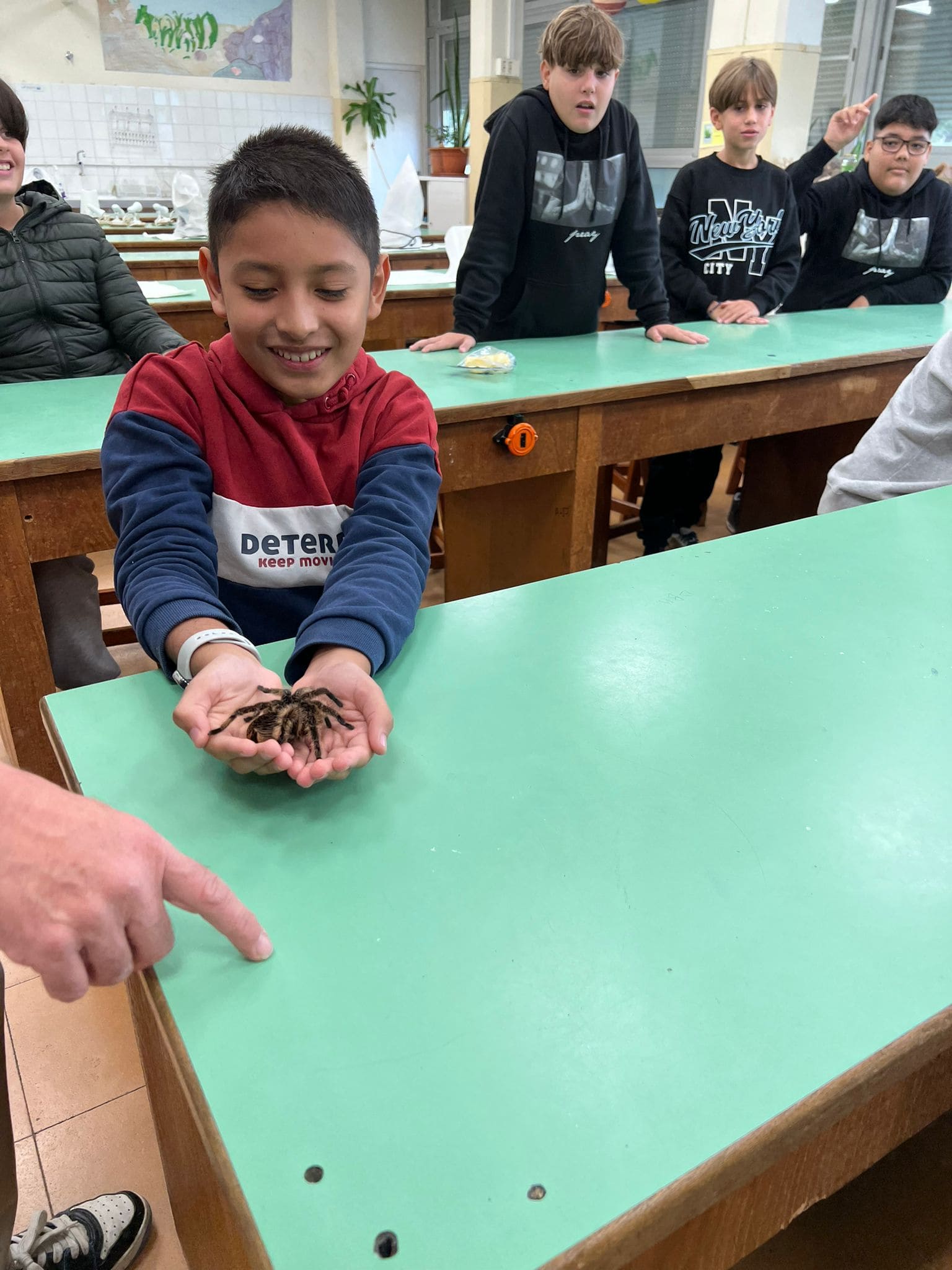 WhatsApp Image 2024-11-21 at 17.11.39