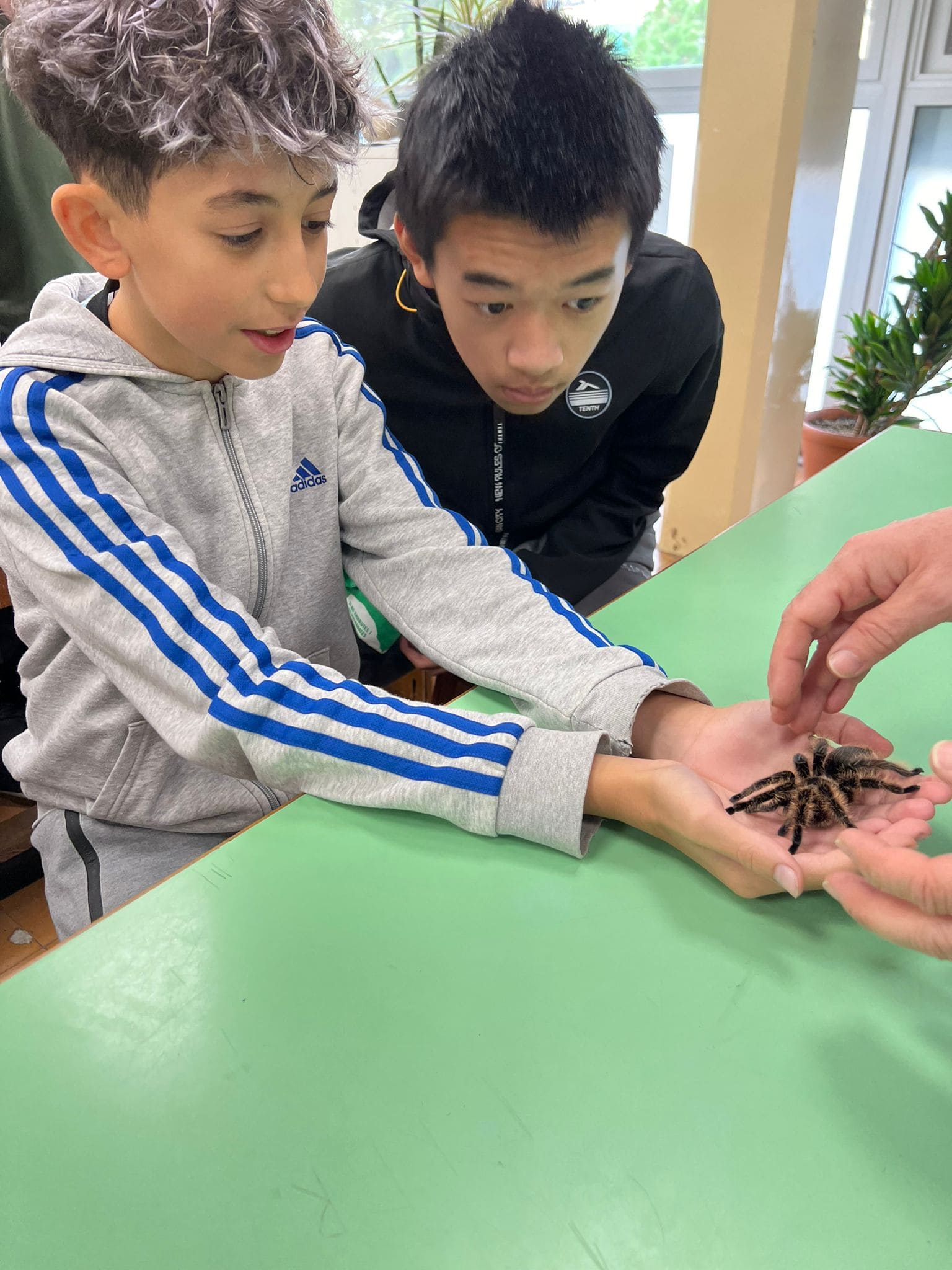 WhatsApp Image 2024-11-21 at 17.11.45