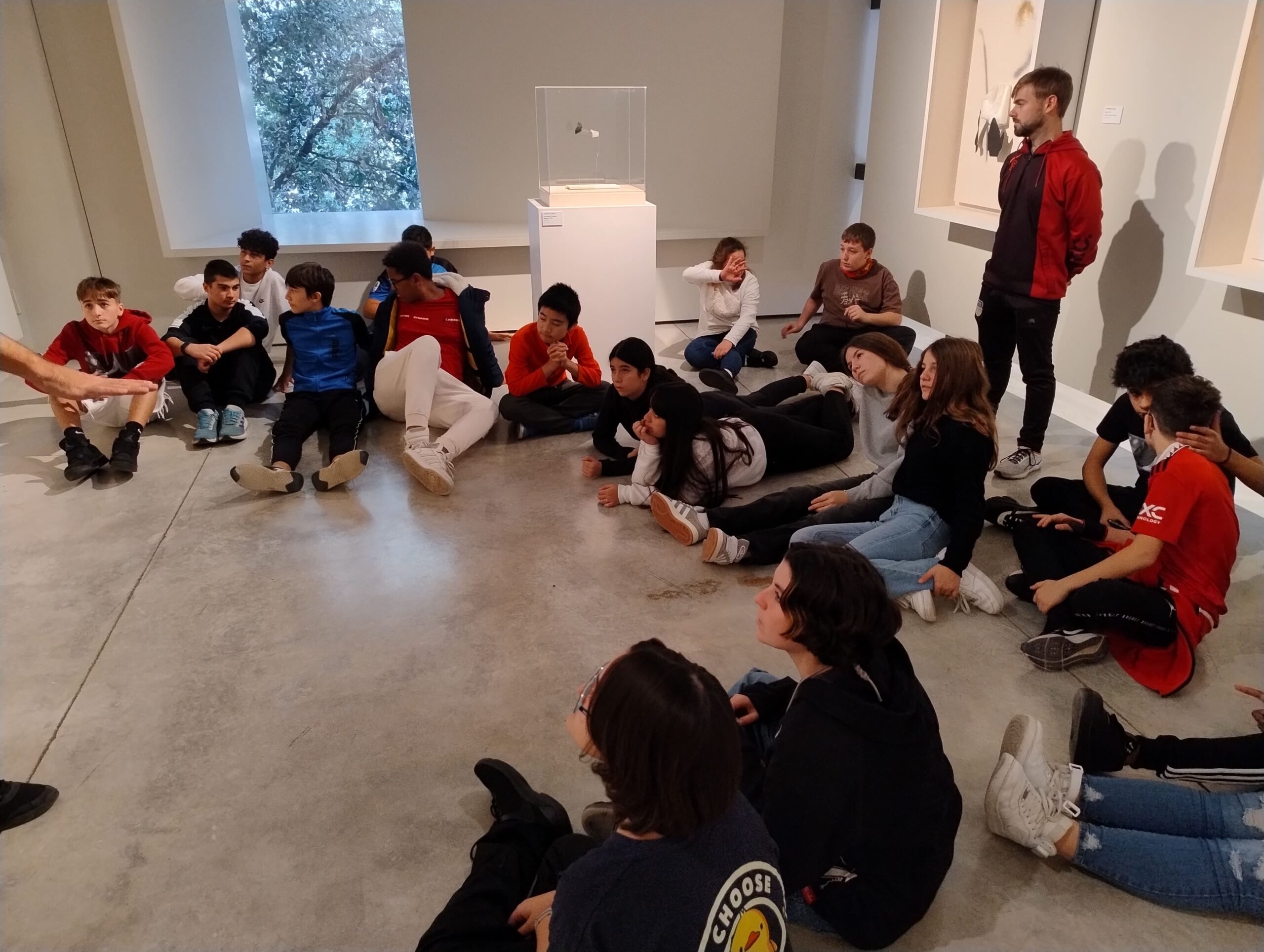 IMG_20241128_124701212_HDR