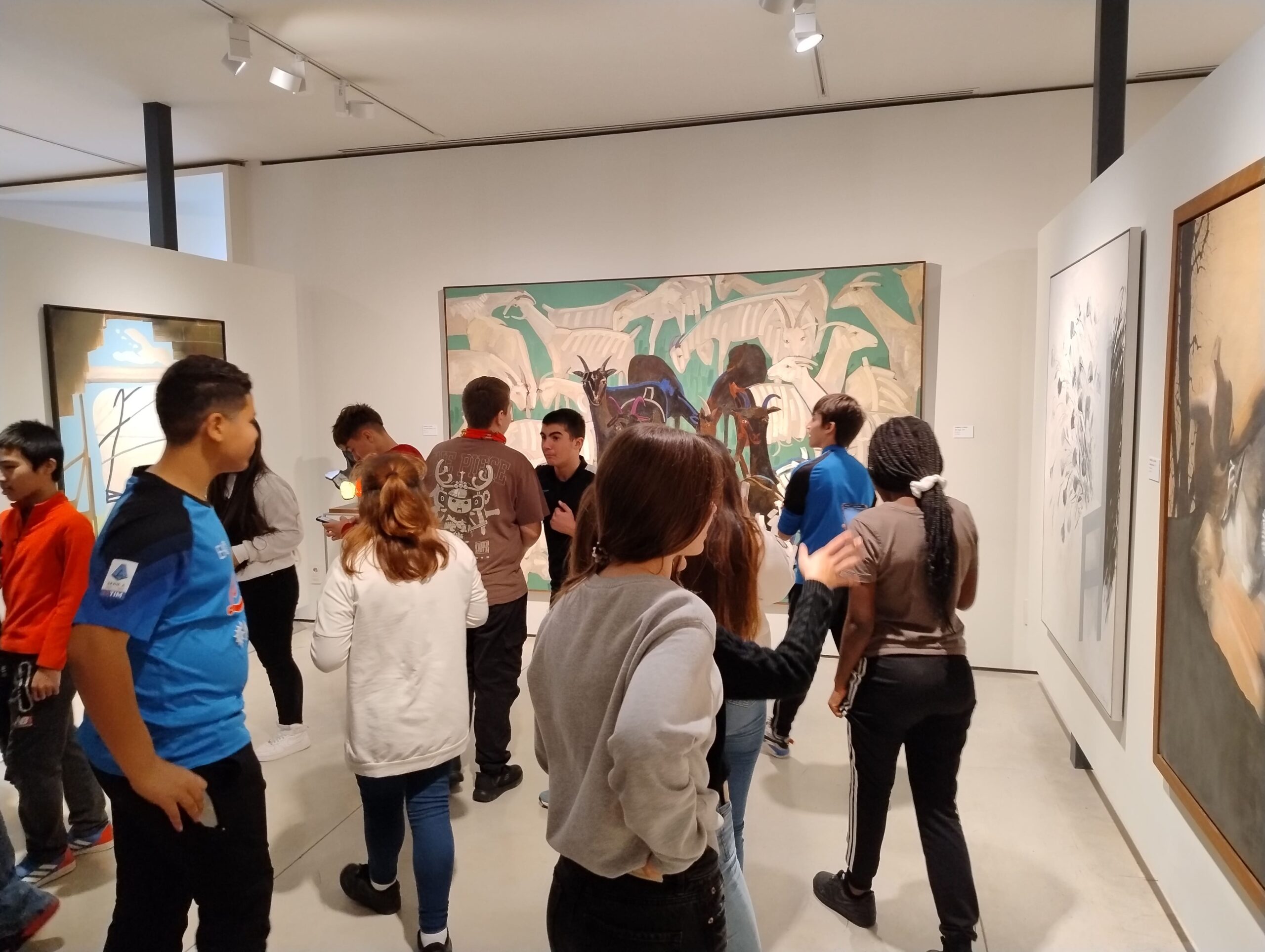 IMG_20241128_130557007