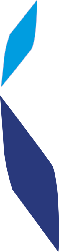 Institut Josefina Castellví i Piulachs