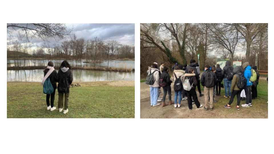 ERASMUS + Experiències (1)