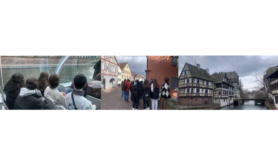 ERASMUS + Experiències (6)