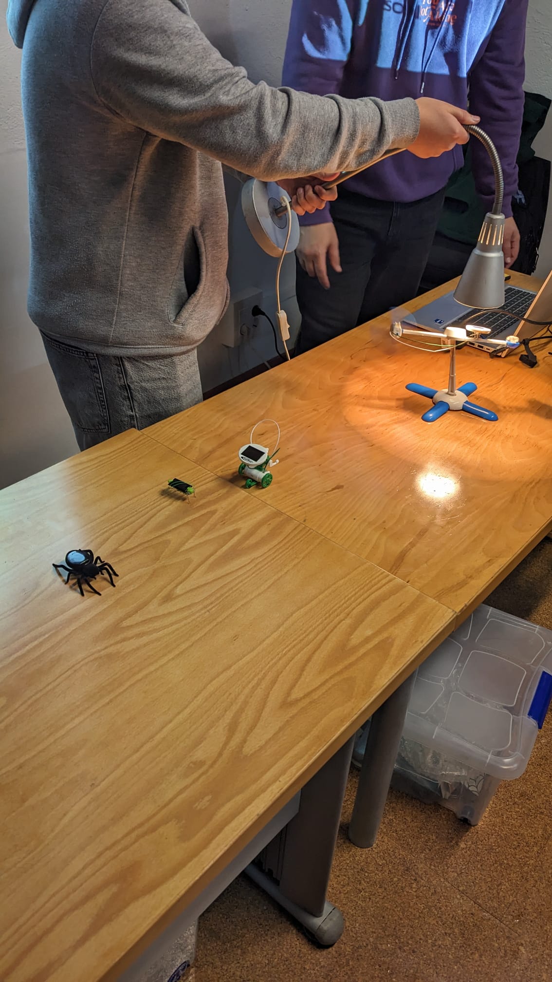 WhatsApp Image 2024-12-12 at 18.45.00 (2)