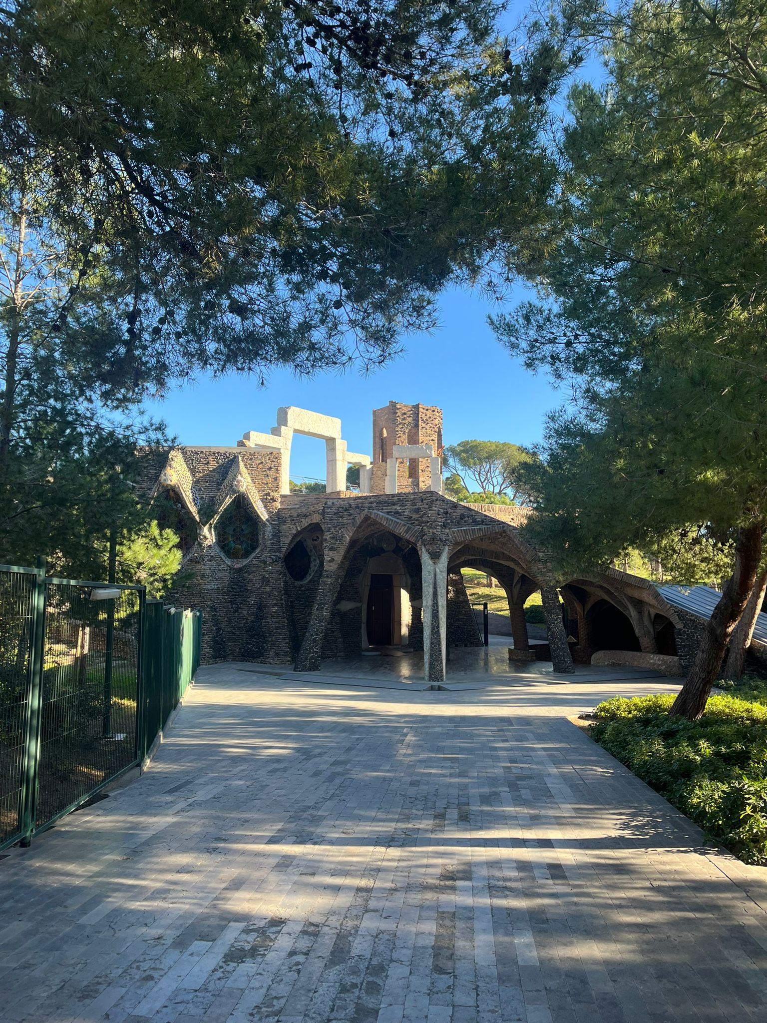 WhatsApp Image 2025-01-13 at 19.07.31