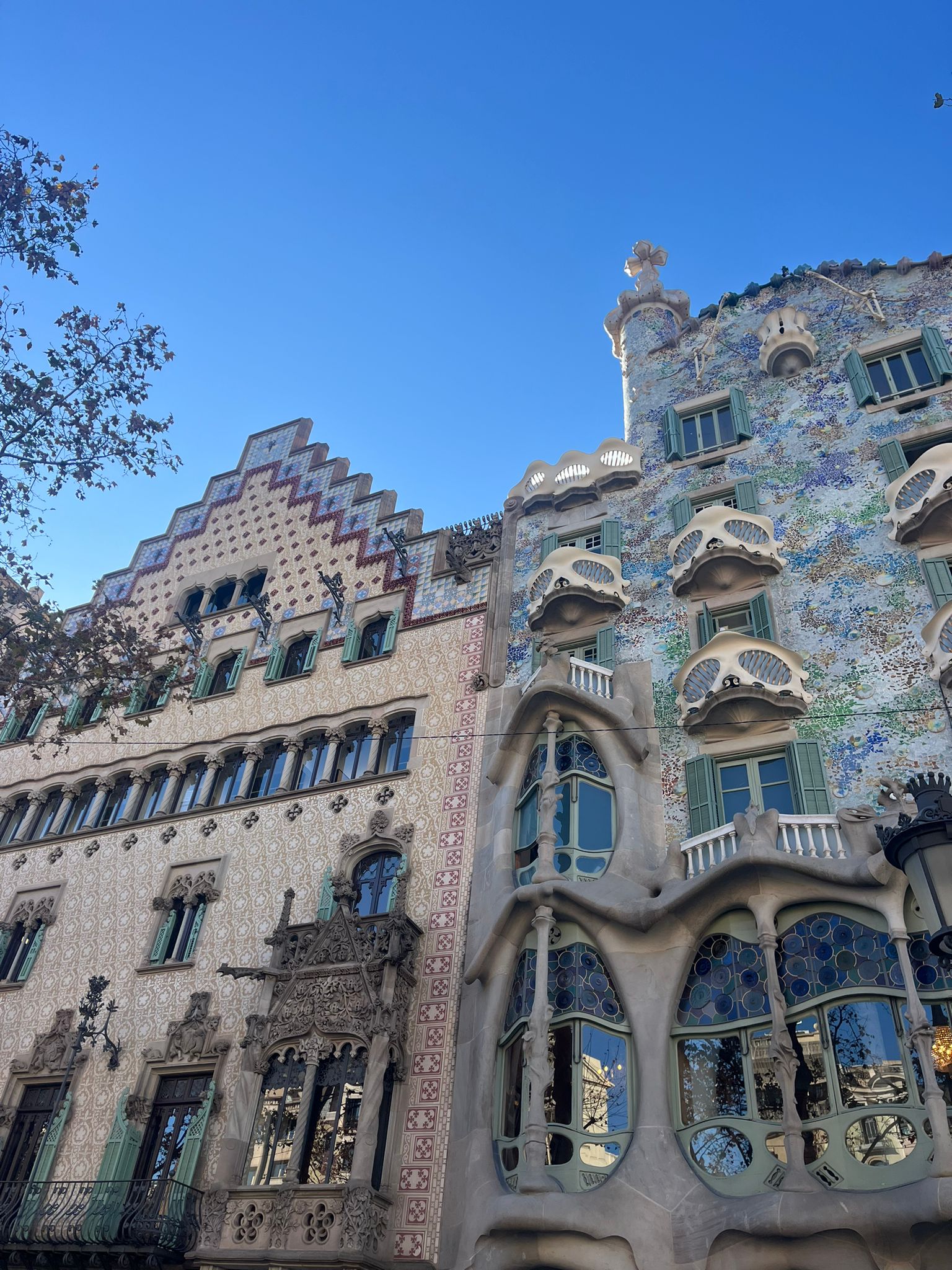 WhatsApp Image 2025-01-14 at 20.42.04 (1)